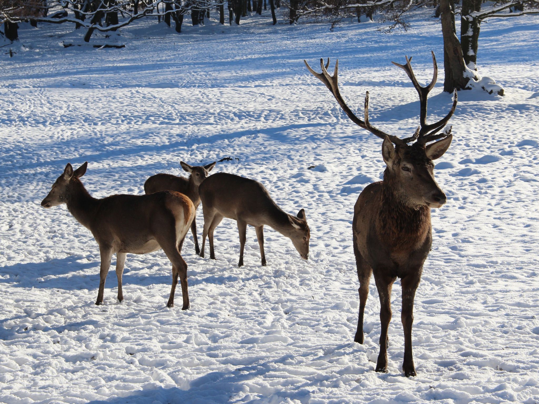 Villa Silberborn A10-Dedans