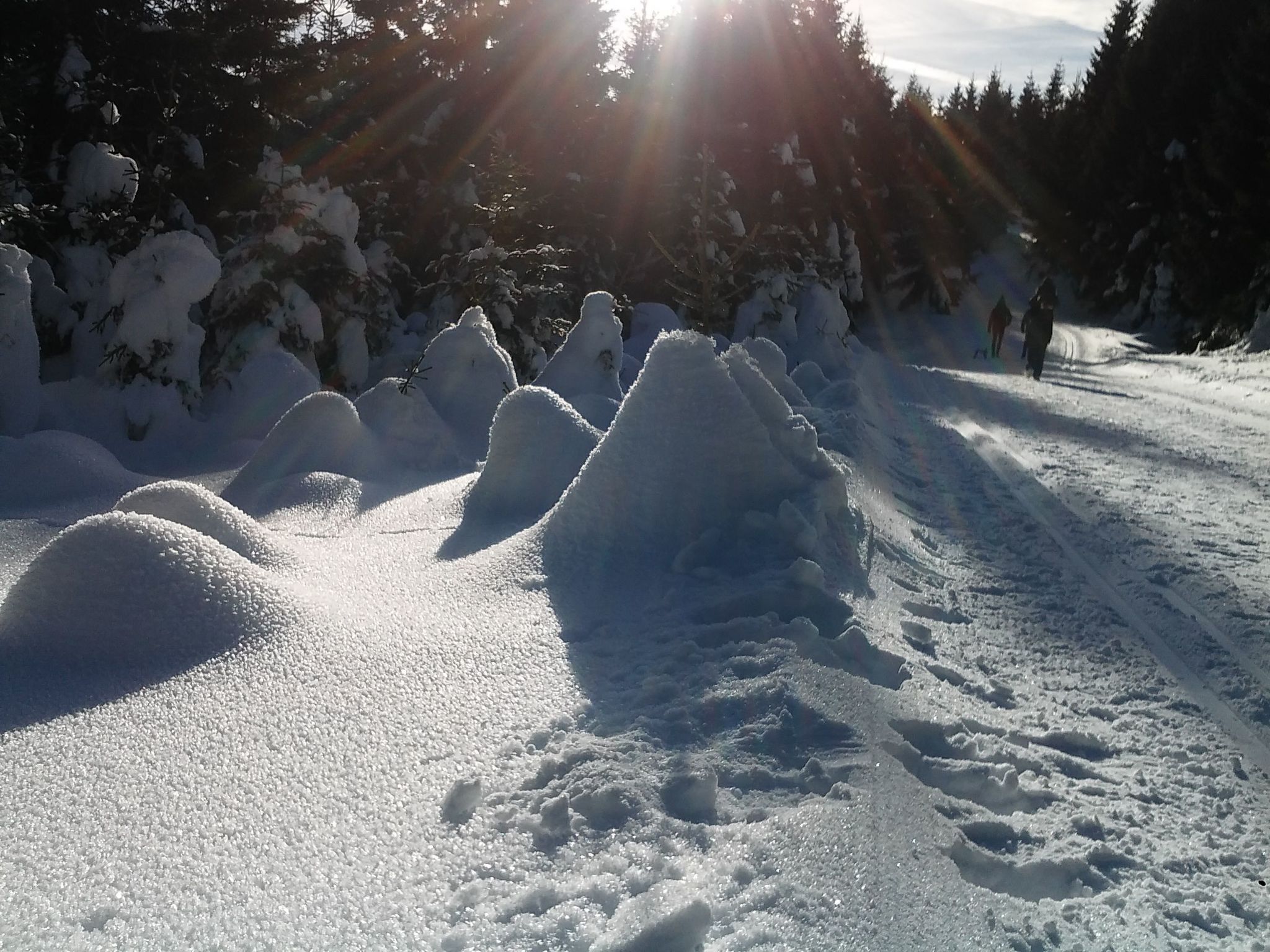 Villa Silberborn A10-Dedans