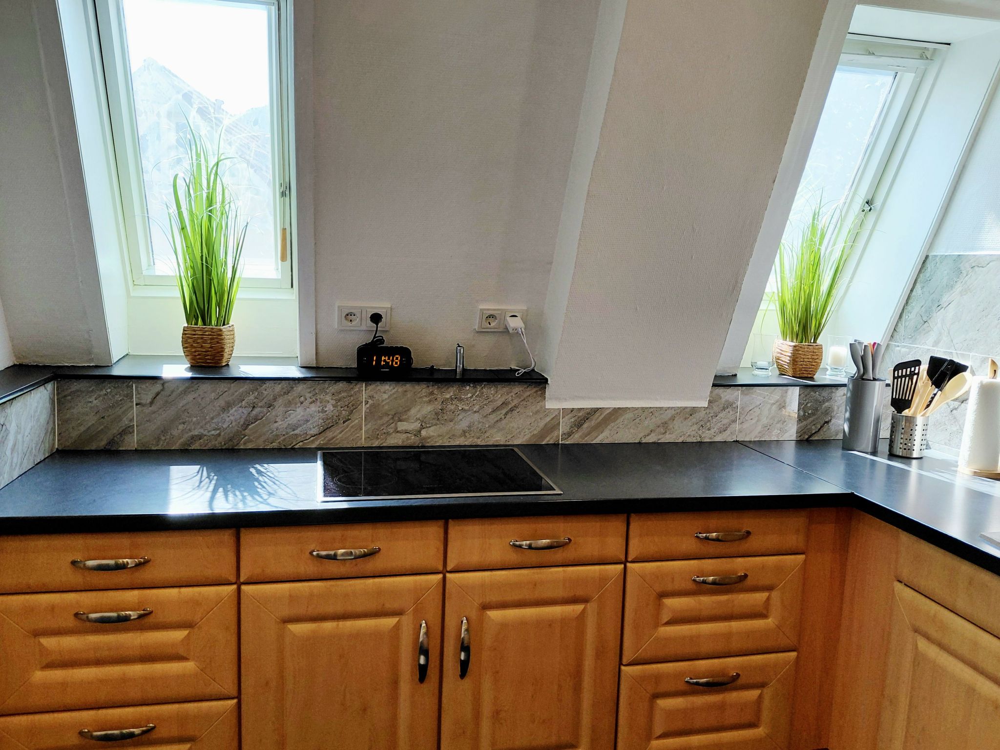 Wanderfalke II-Drinnen