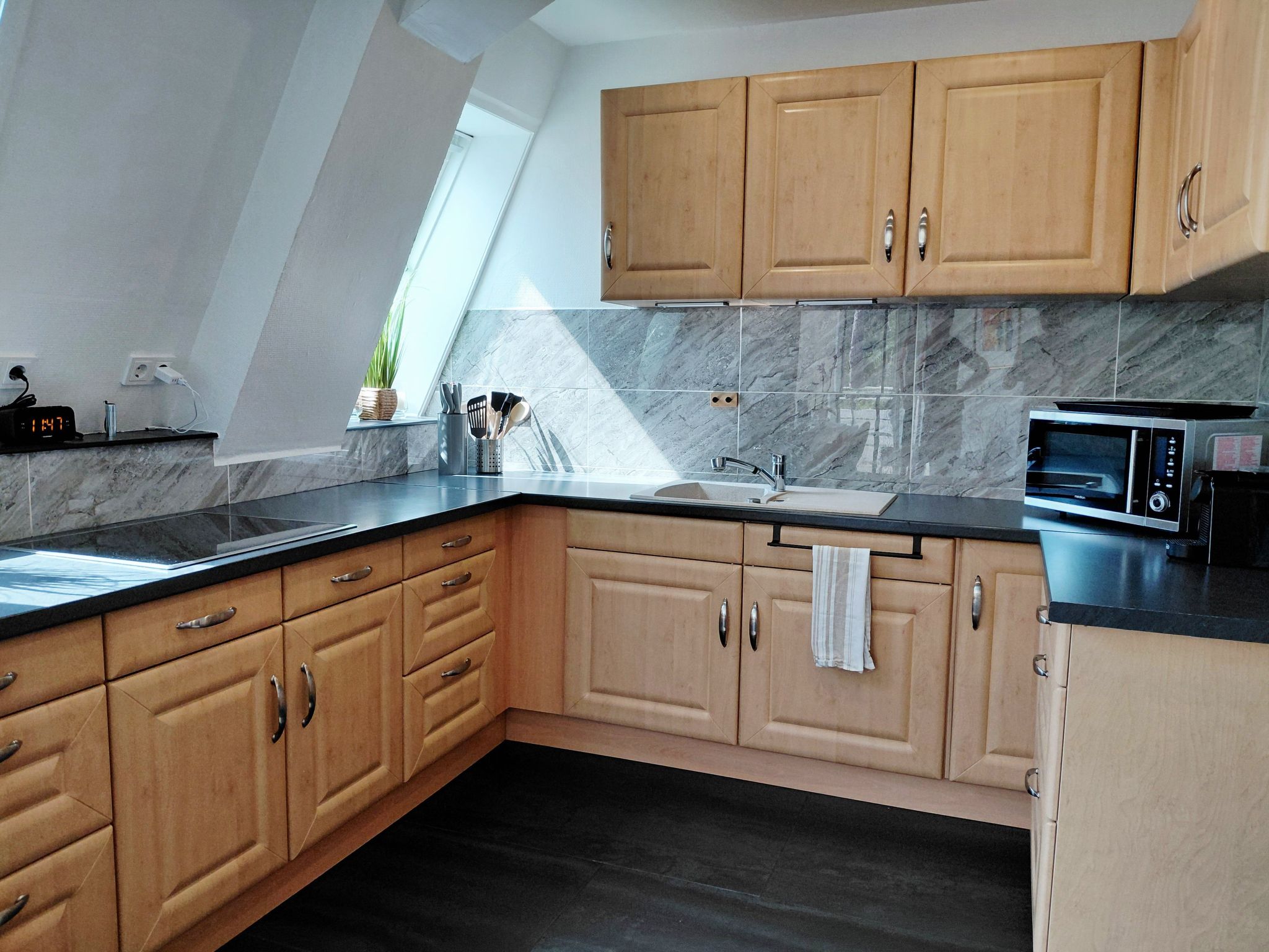 Wanderfalke II-Drinnen