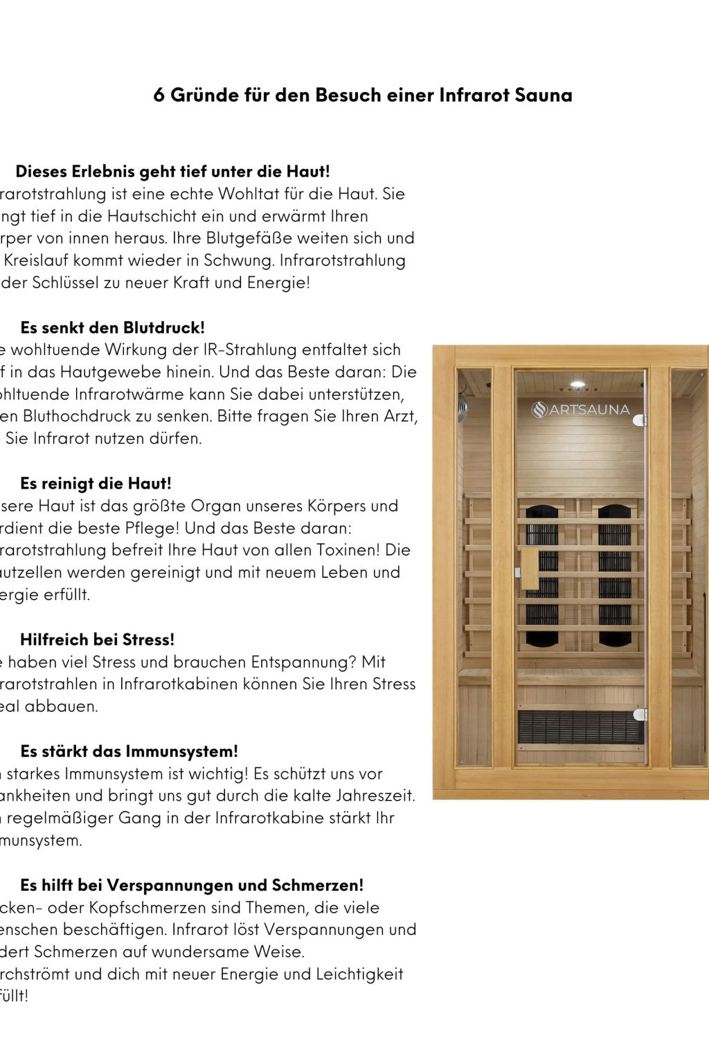 Wanderfalke II-Drinnen