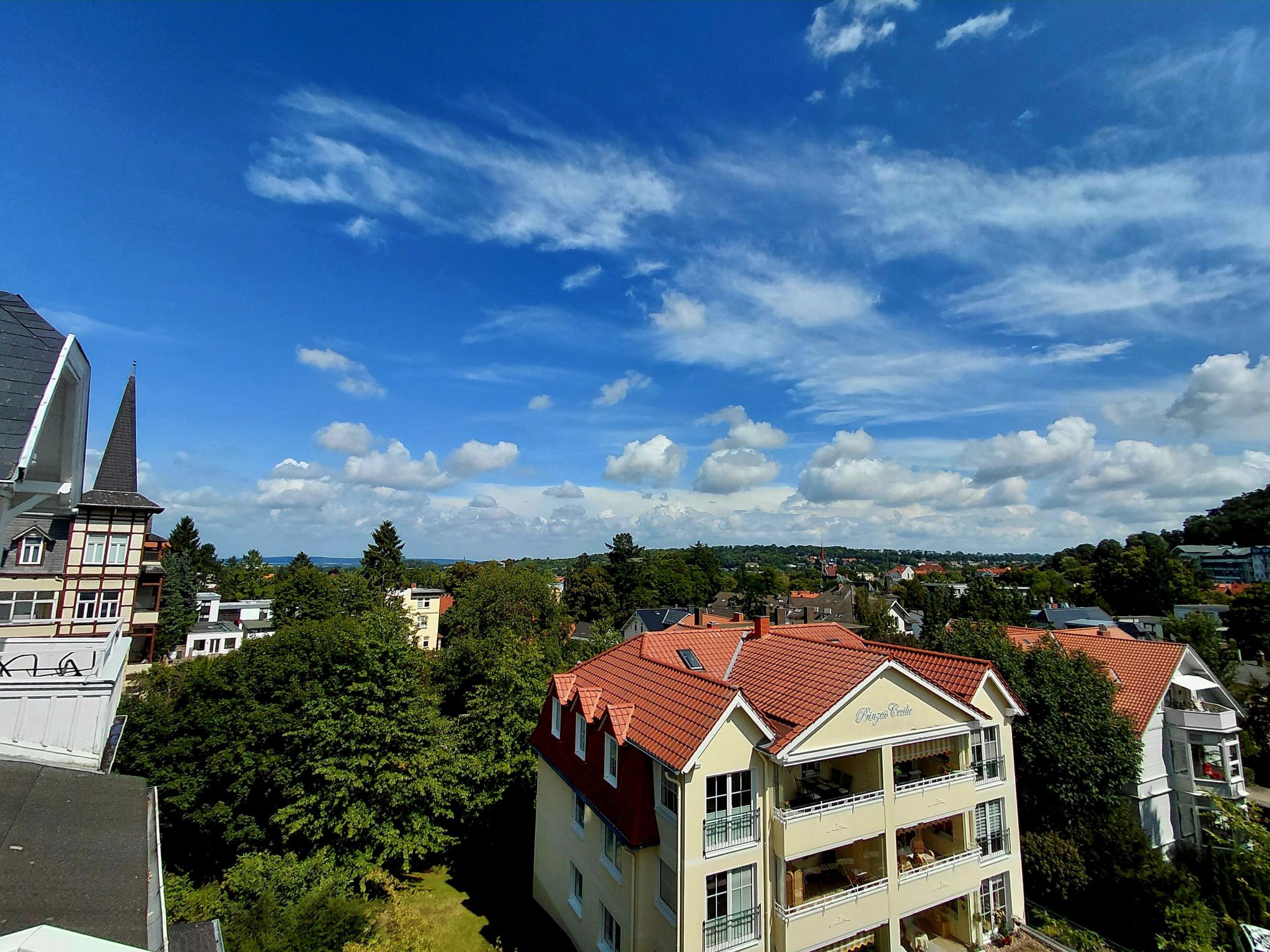 Wanderfalke II-Drinnen