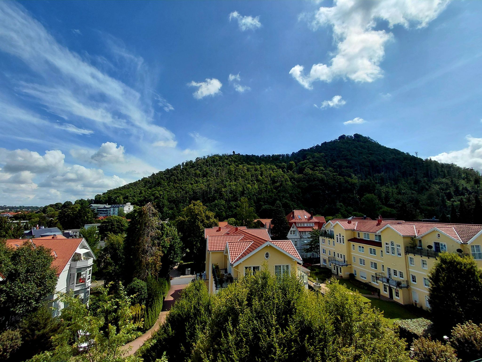 Wanderfalke II-Drinnen