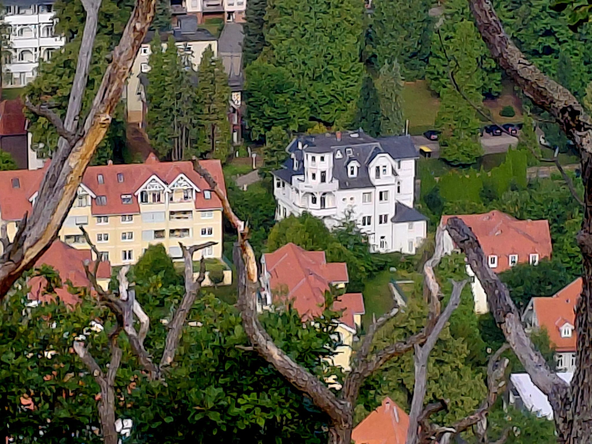 Wanderfalke II-Drinnen