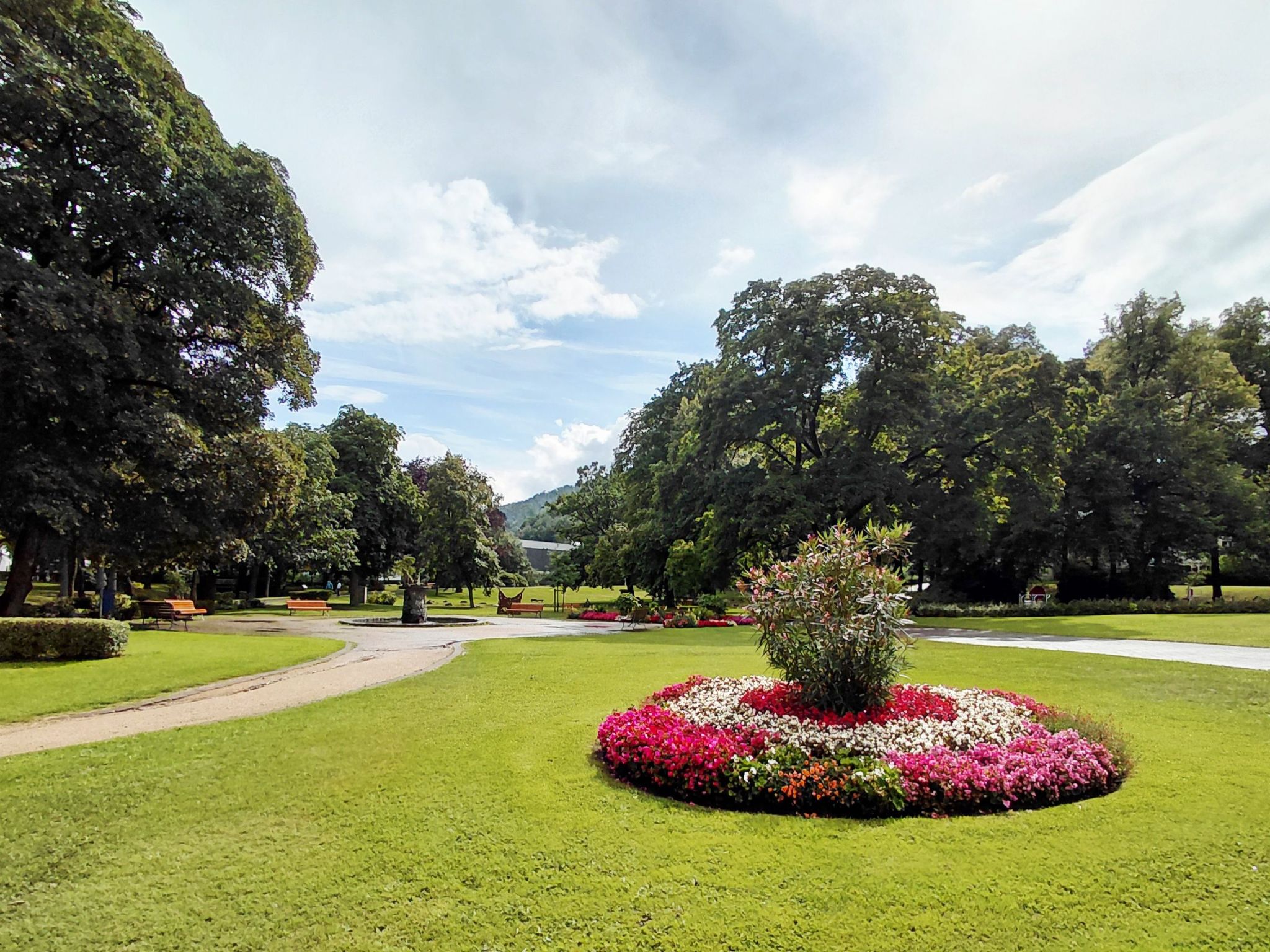 Wanderfalke II-Drinnen