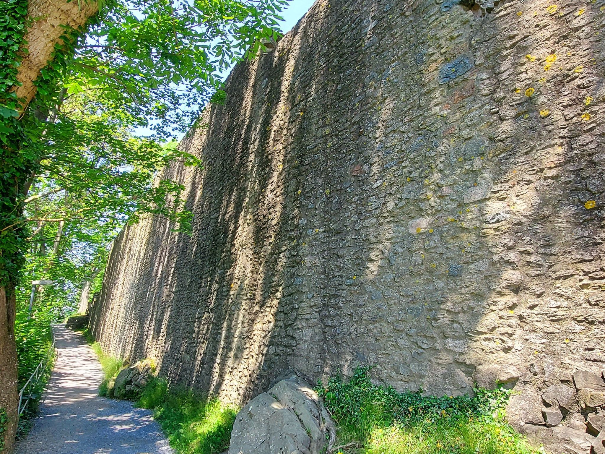 Wanderfalke II-Drinnen