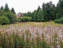 Rustiek appartement in Altenau aan de voet van de Brocken met tuin - thumbnail 3