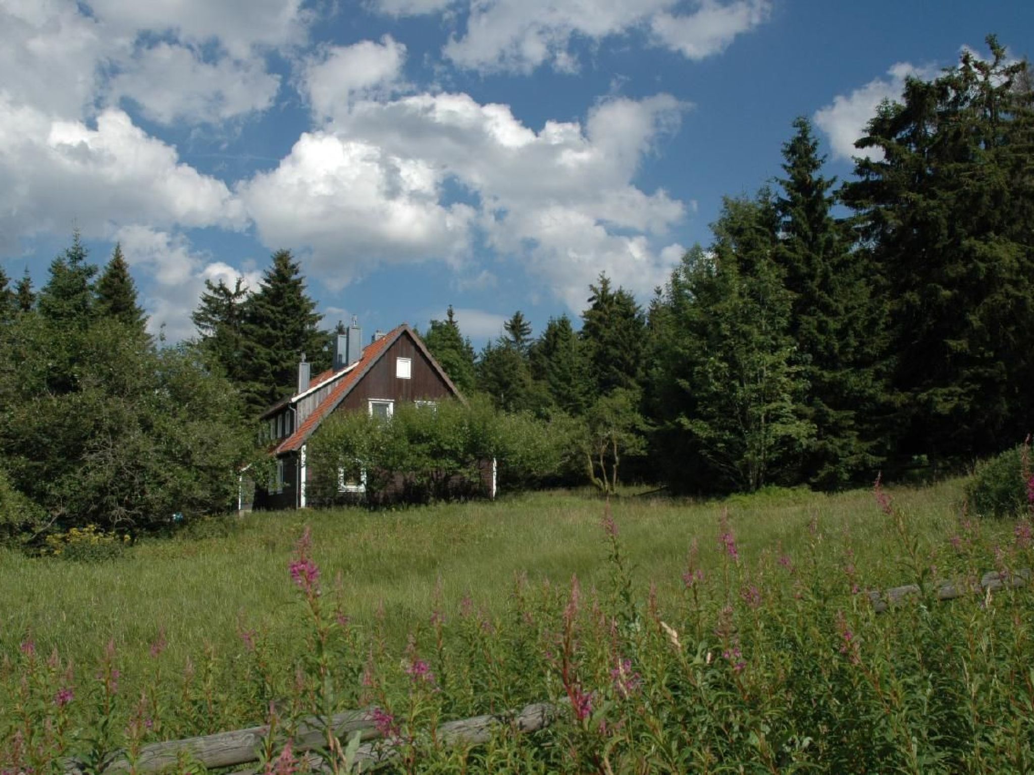 Appartement in Altenau mit Garten-Drinnen