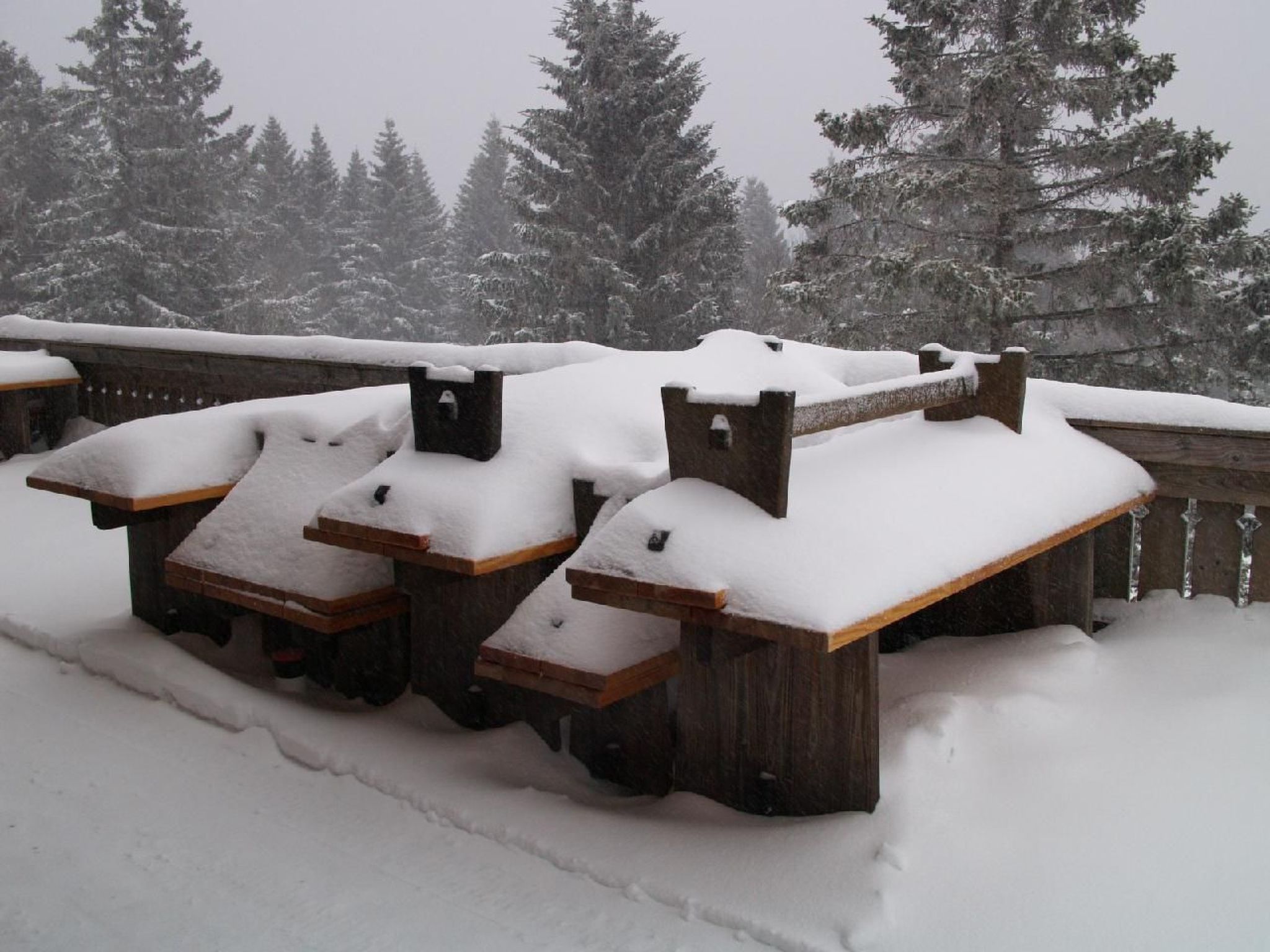 Appartement in Altenau mit Garten-Drinnen