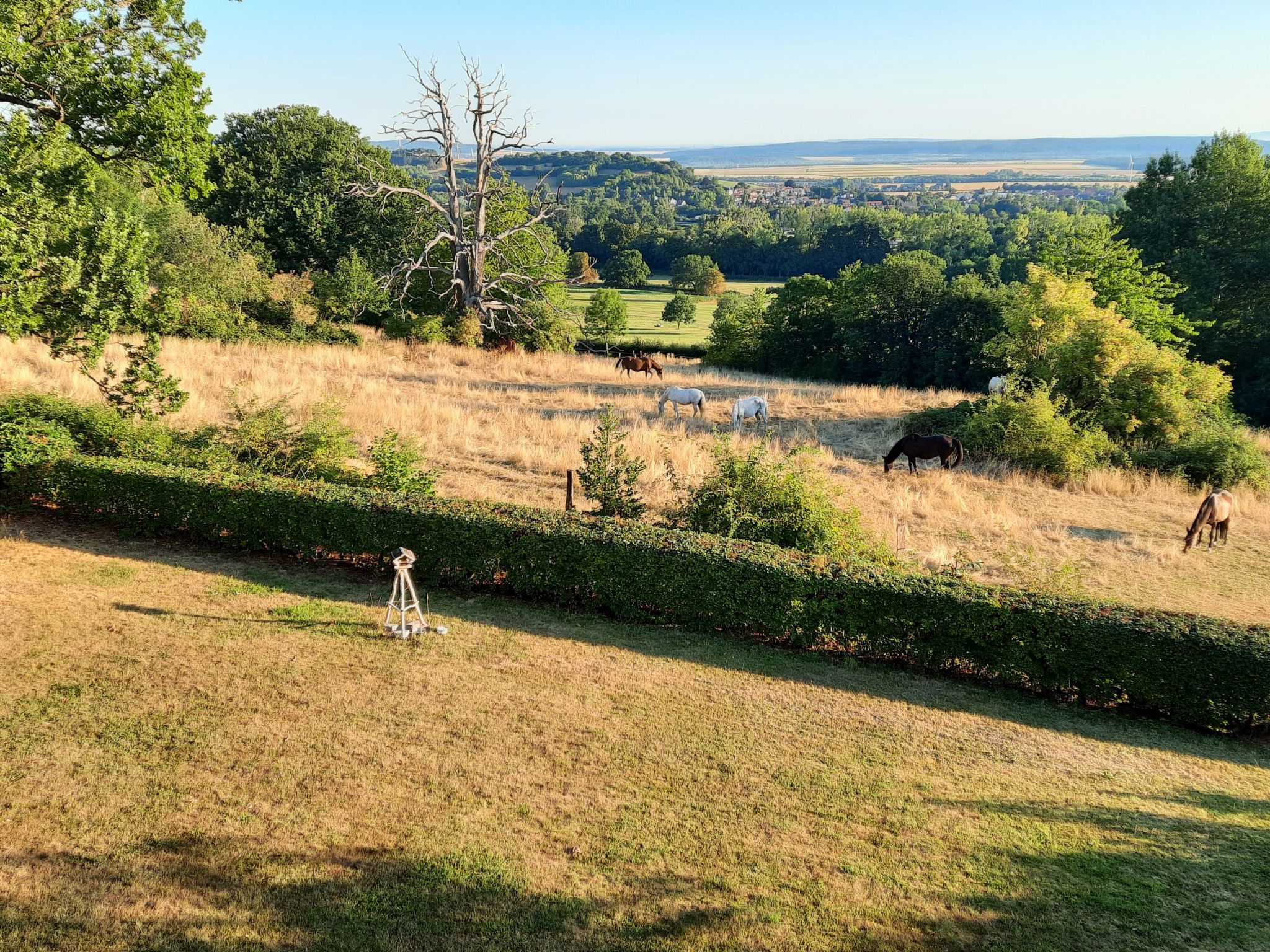 Villa Silberborn A.9-Drinnen