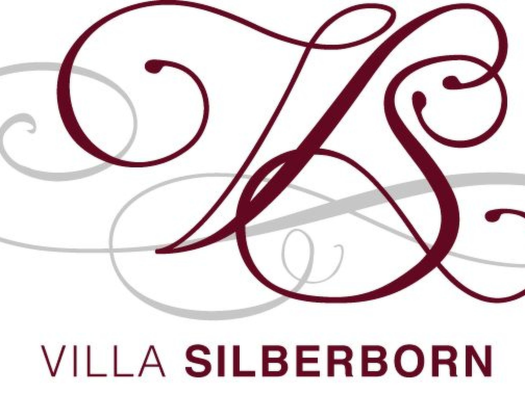 Villa Silberborn A.9-Drinnen