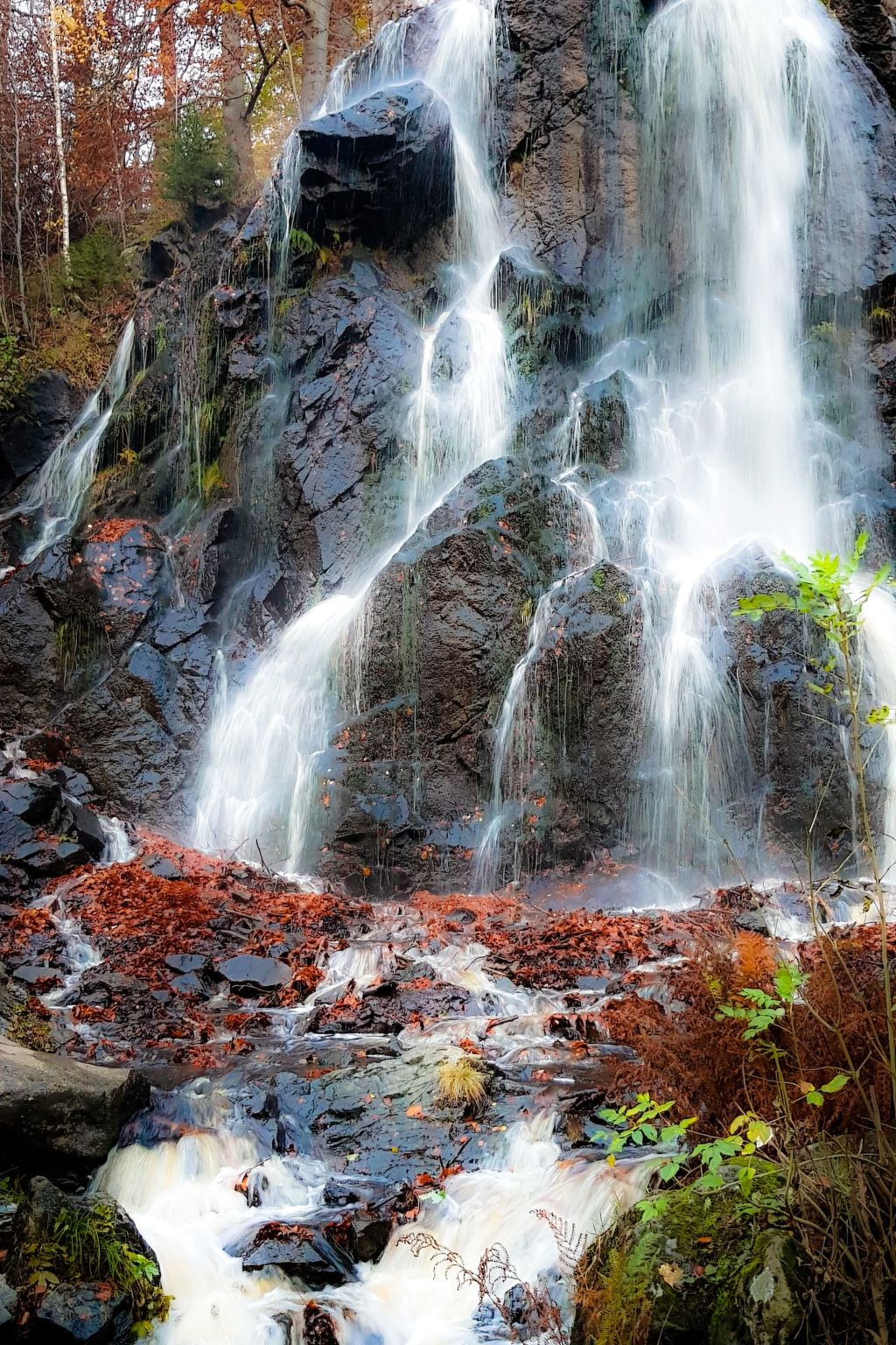 Villa Silberborn A.9-Drinnen