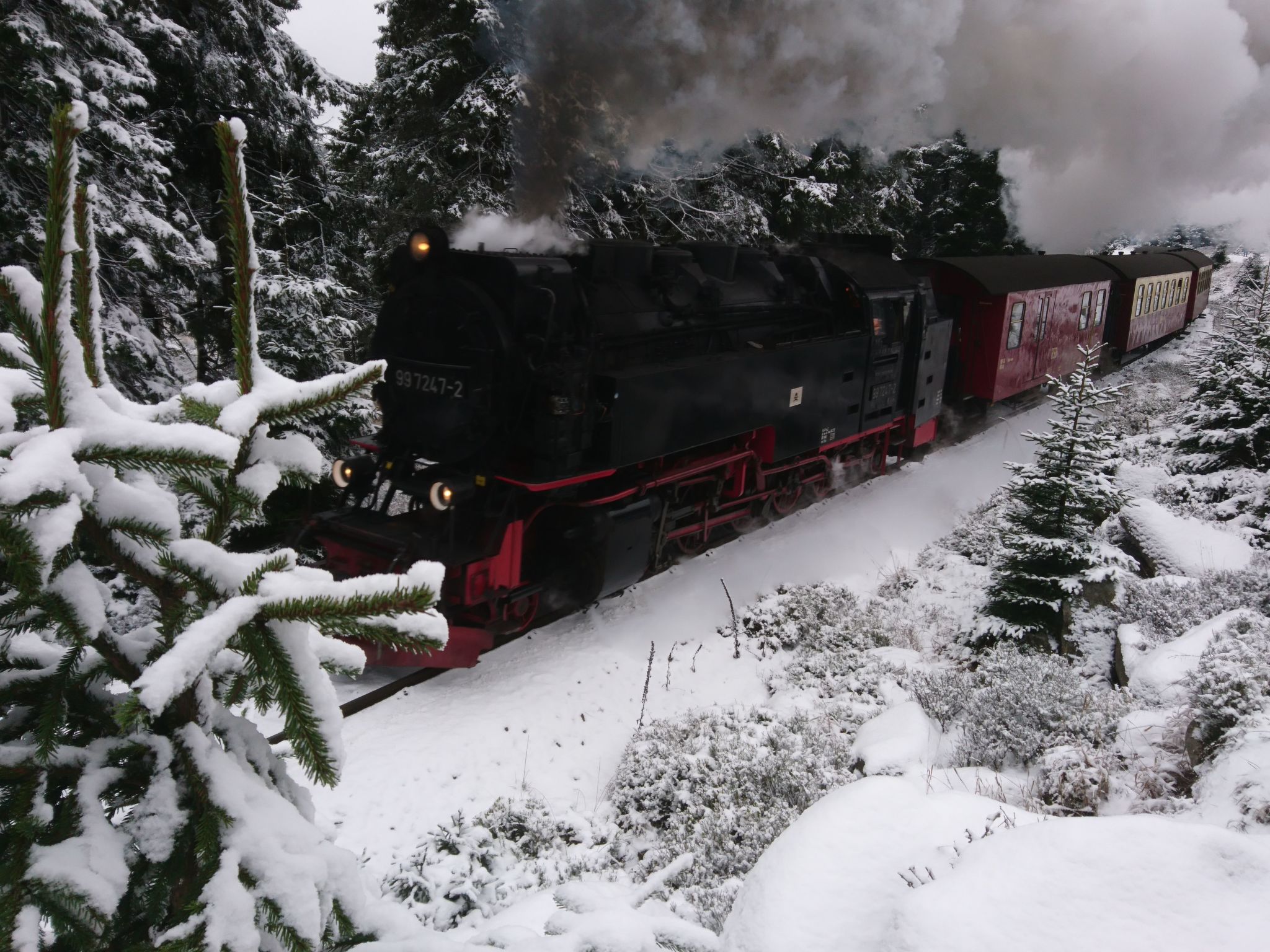 Villa Silberborn A.9-Drinnen