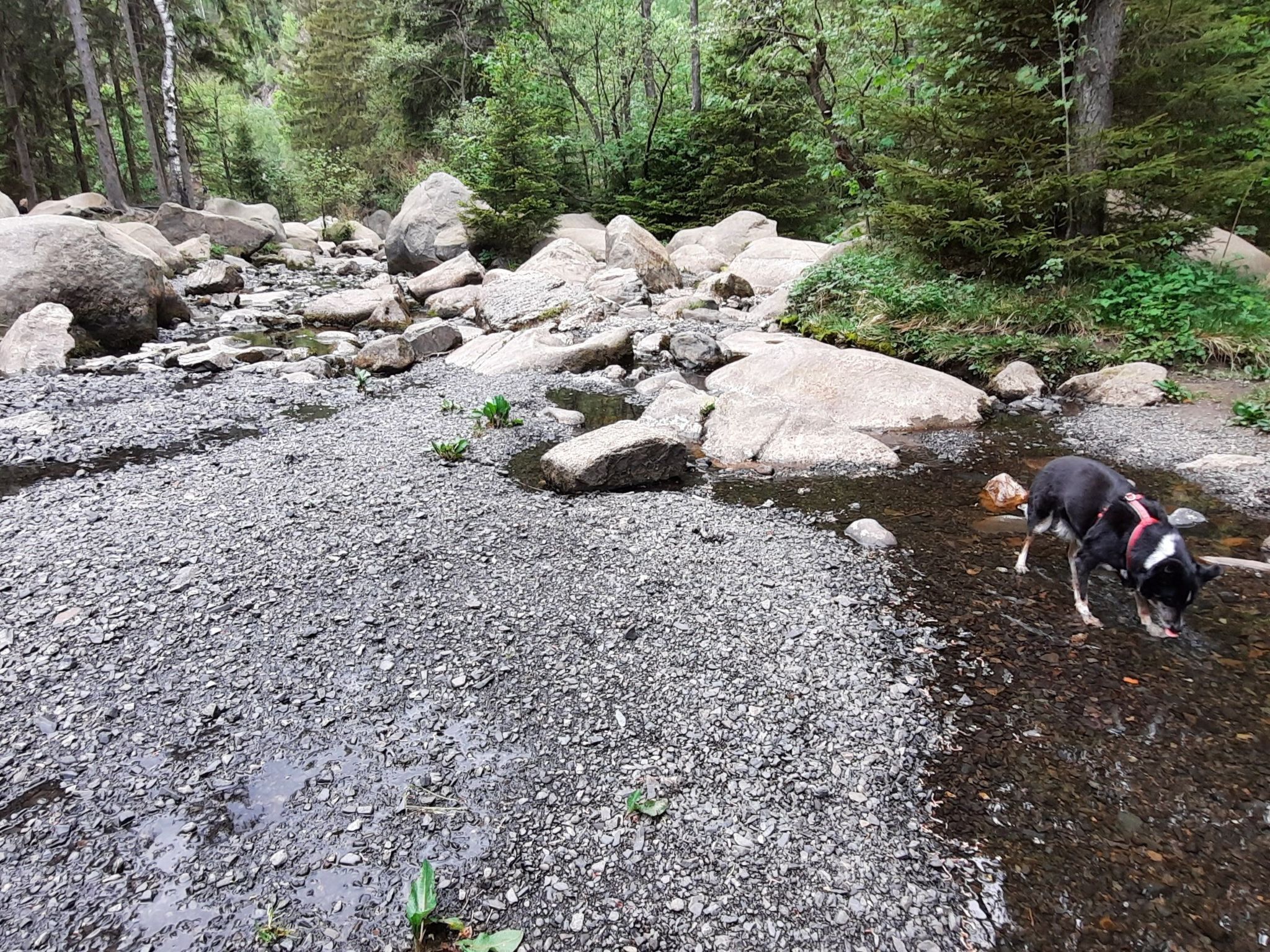 Villa Silberborn A.9