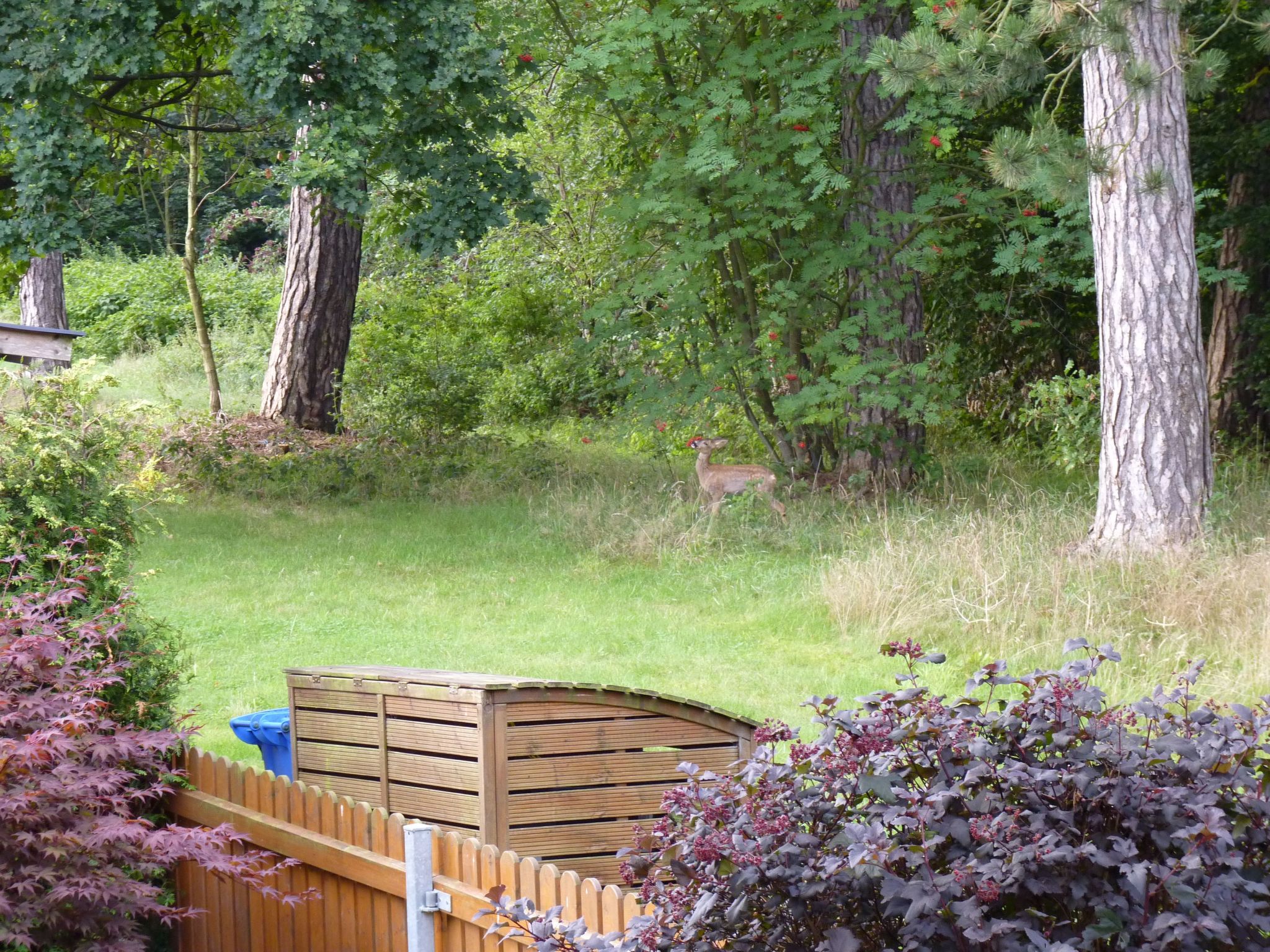 Gemütliches Appartement in Ottenhai mit Grill-Drinnen