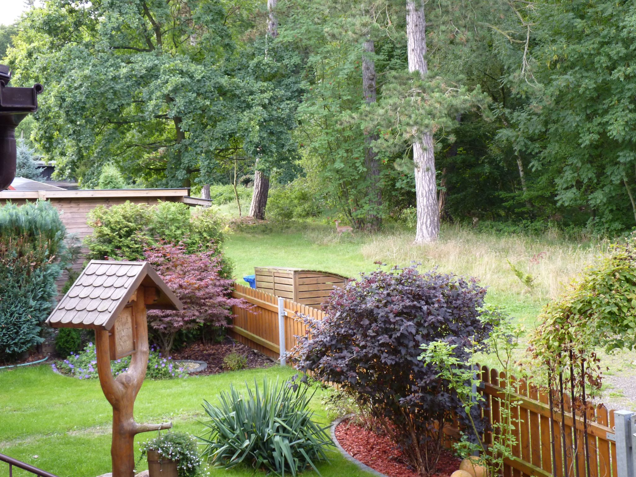 Gemütliches Appartement in Ottenhai mit Grill-Drinnen