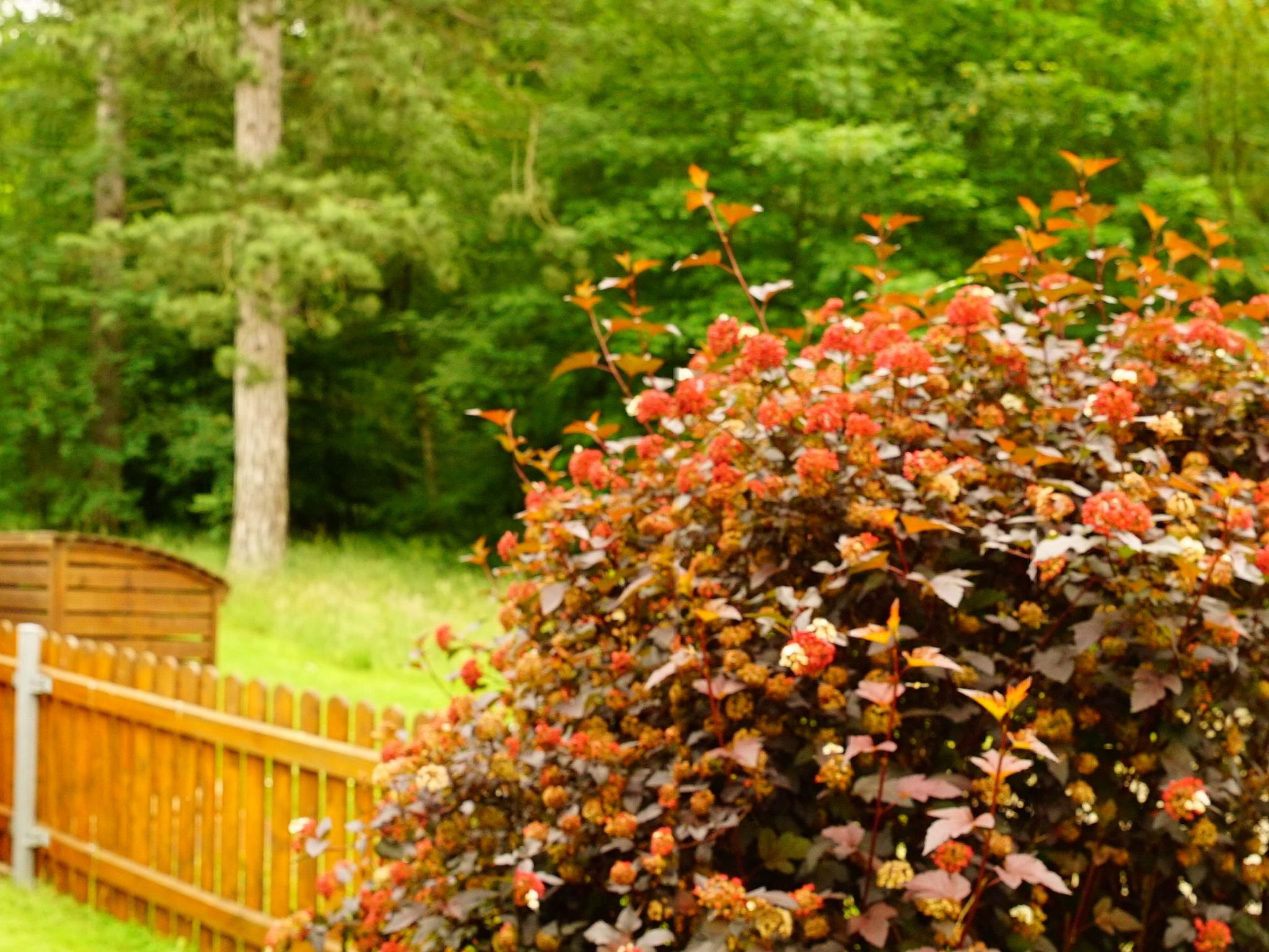 Gemütliches Appartement in Ottenhai mit Grill-Drinnen