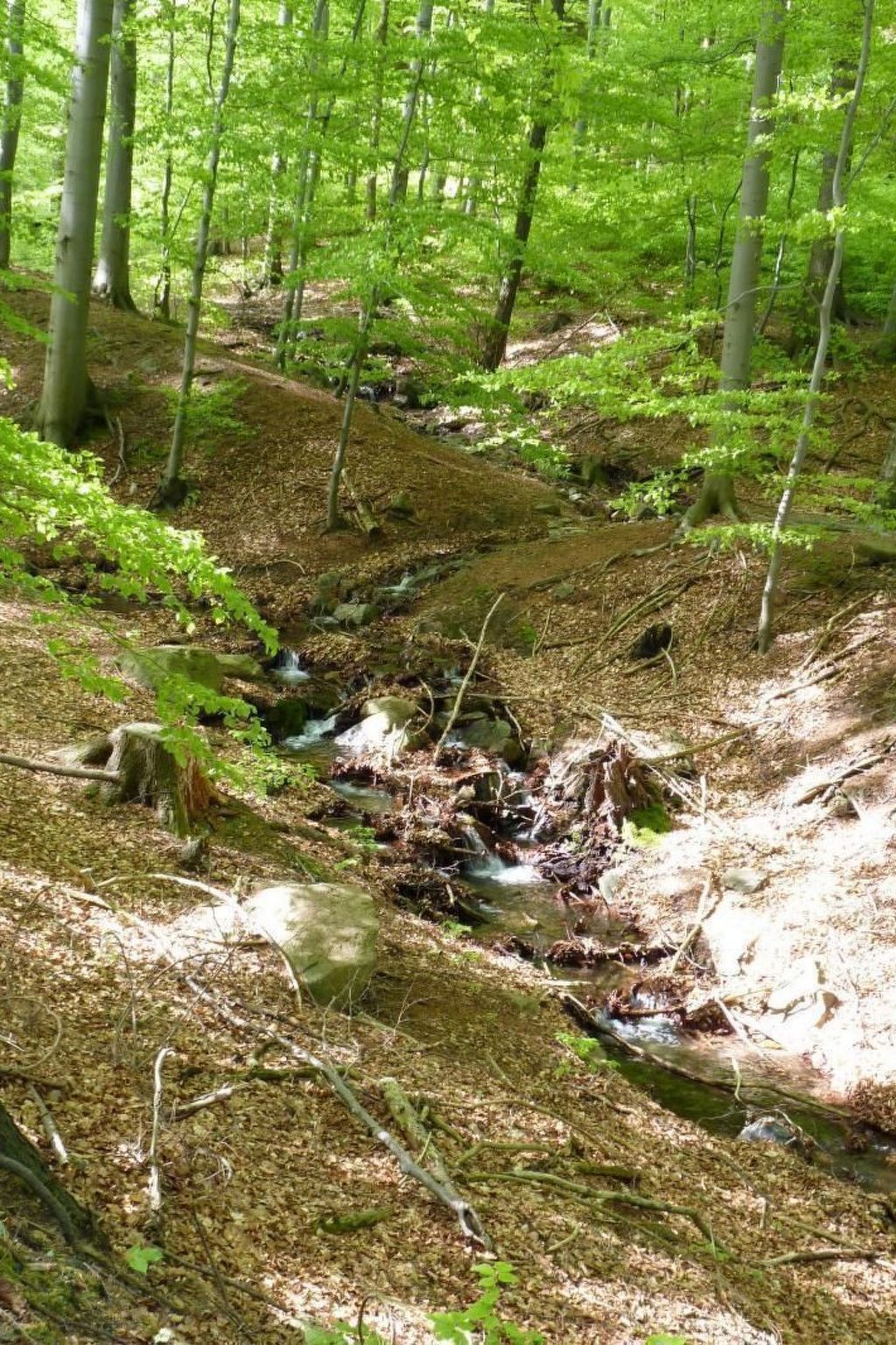 Gemütliches Appartement in Ottenhai mit Grill-Drinnen