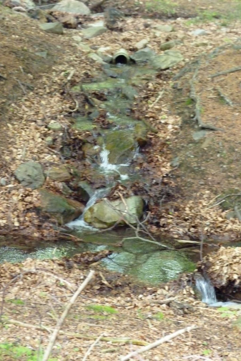 Gemütliches Appartement in Ottenhai mit Grill-Drinnen