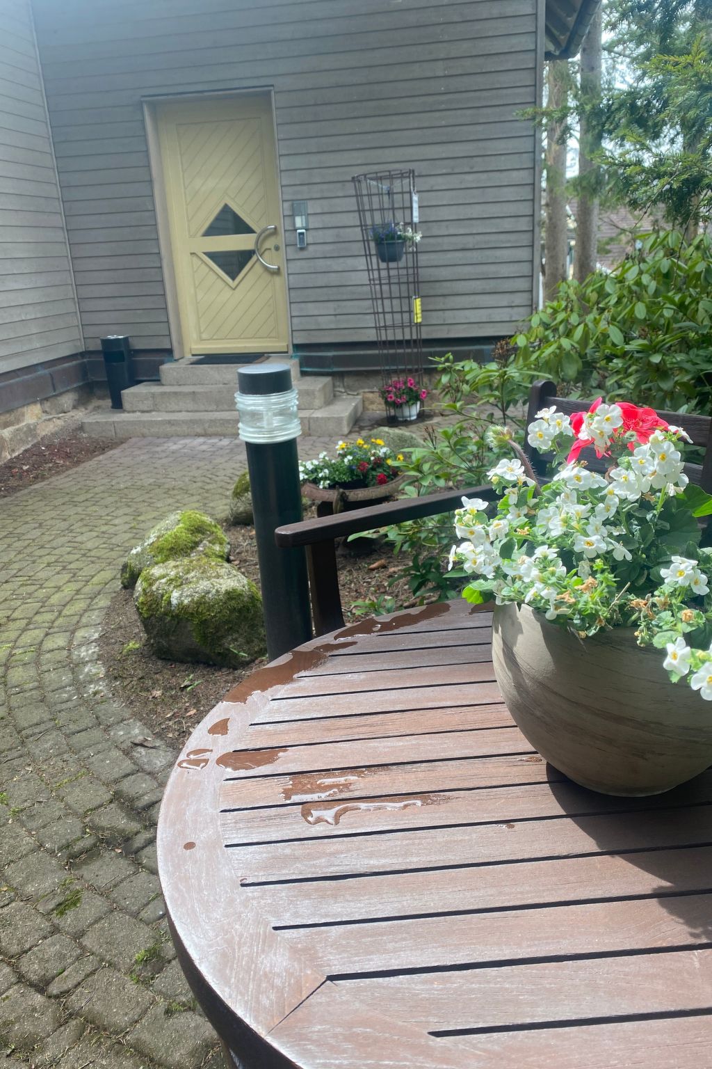 Villa Waldidyll-Drinnen