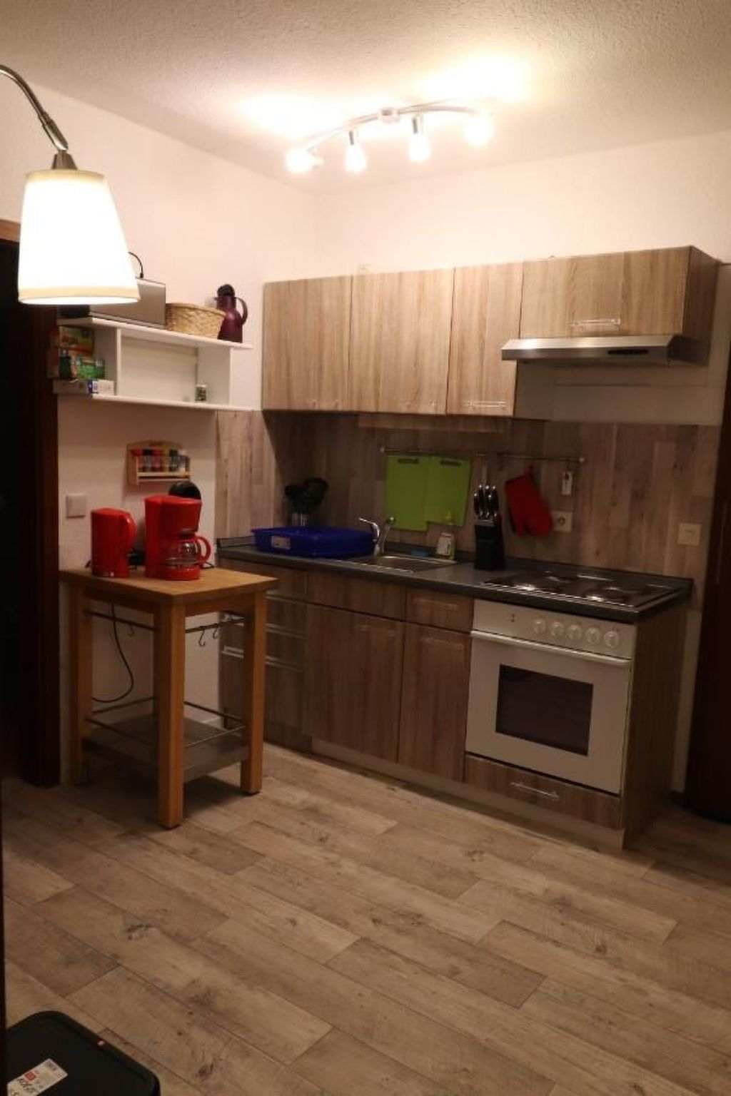 Gemütliche Ferienwohnung direkt im Skigebiet