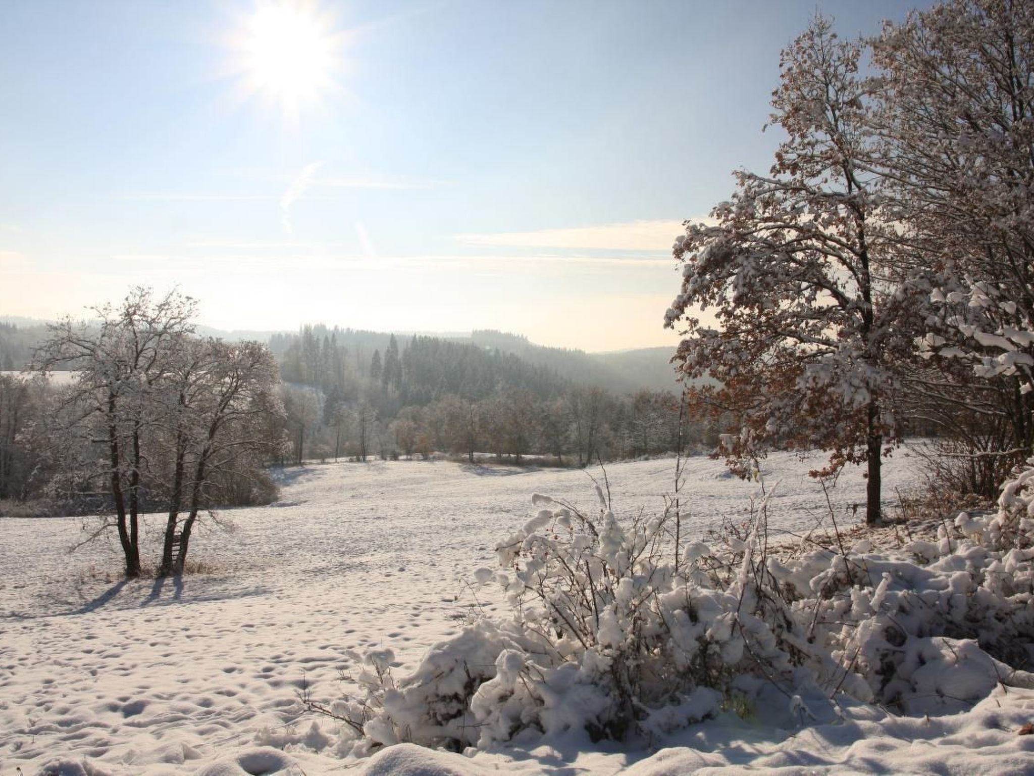 Urlaubsdomizil-Harz-Drinnen