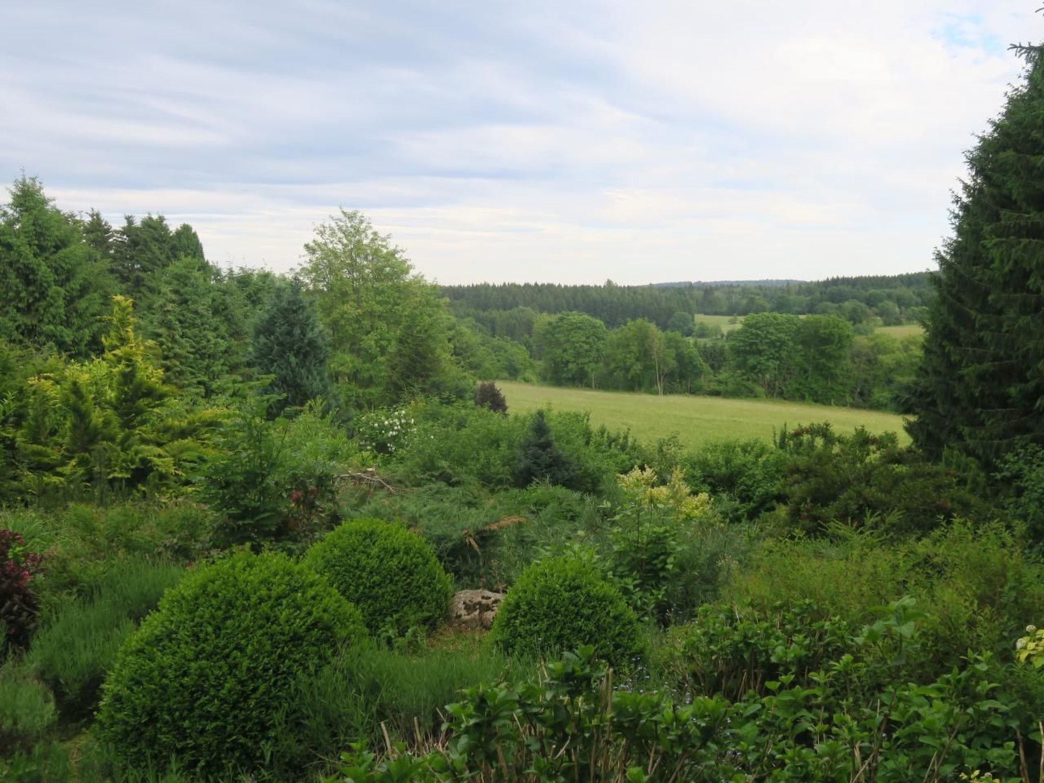 Urlaubsdomizil-Harz-Drinnen