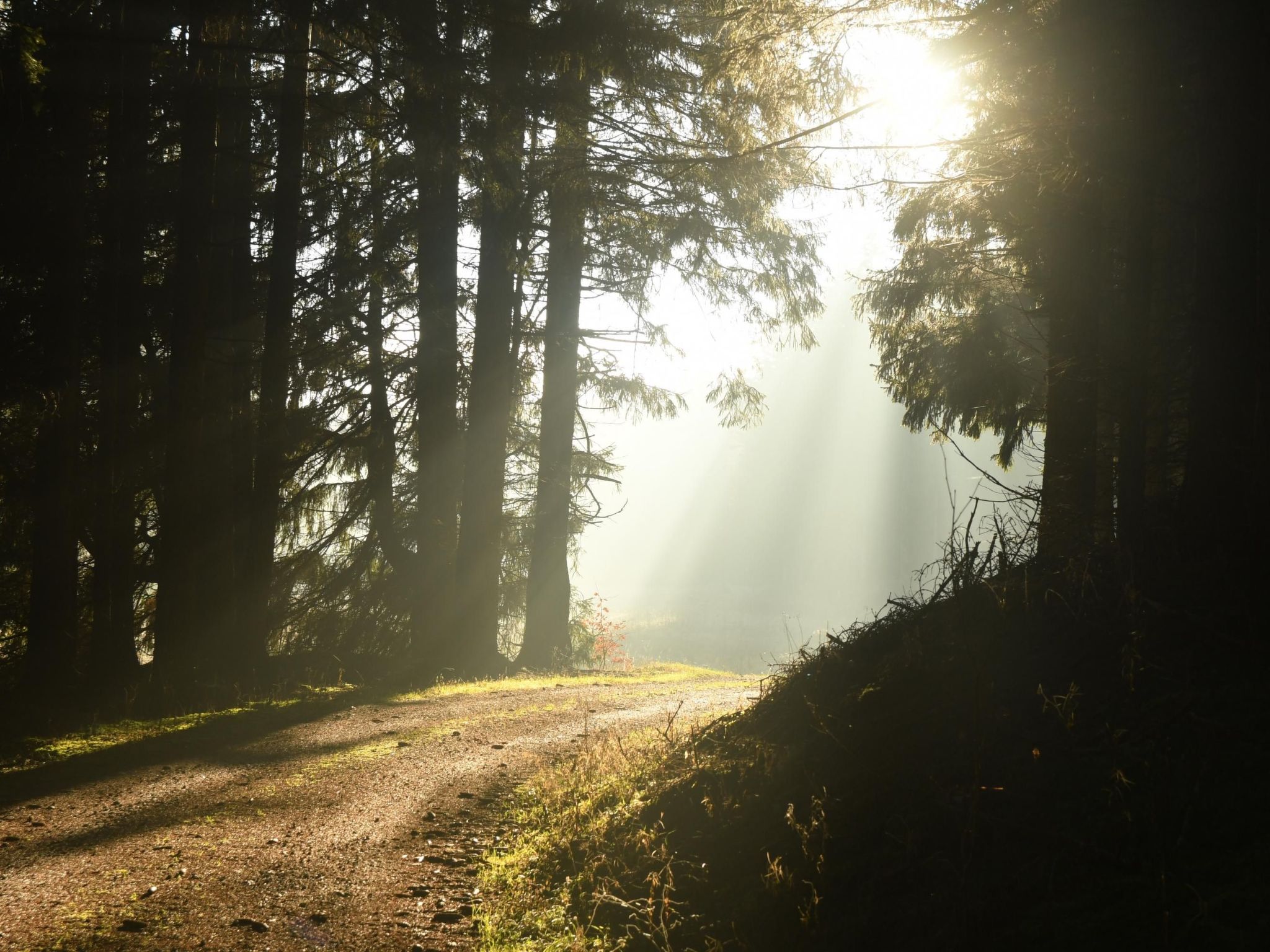 Wohnung in Hohegeiß mit Grill und Garten-Drinnen