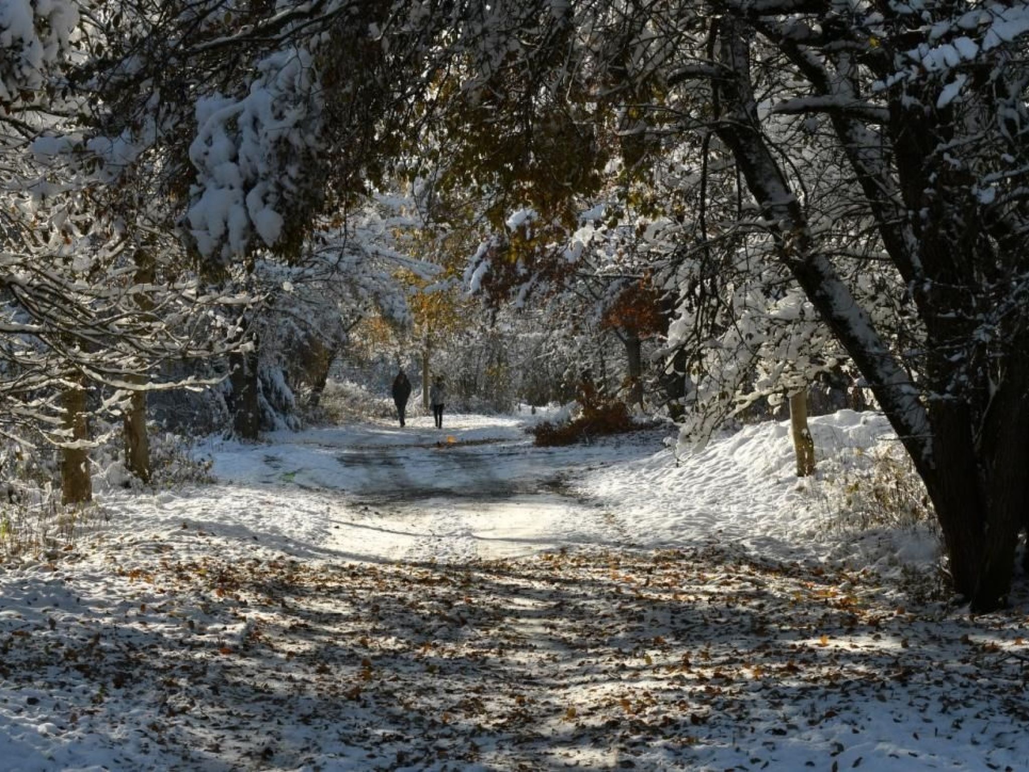 Mit Spielplatz, Garten und Fernsicht-Drinnen