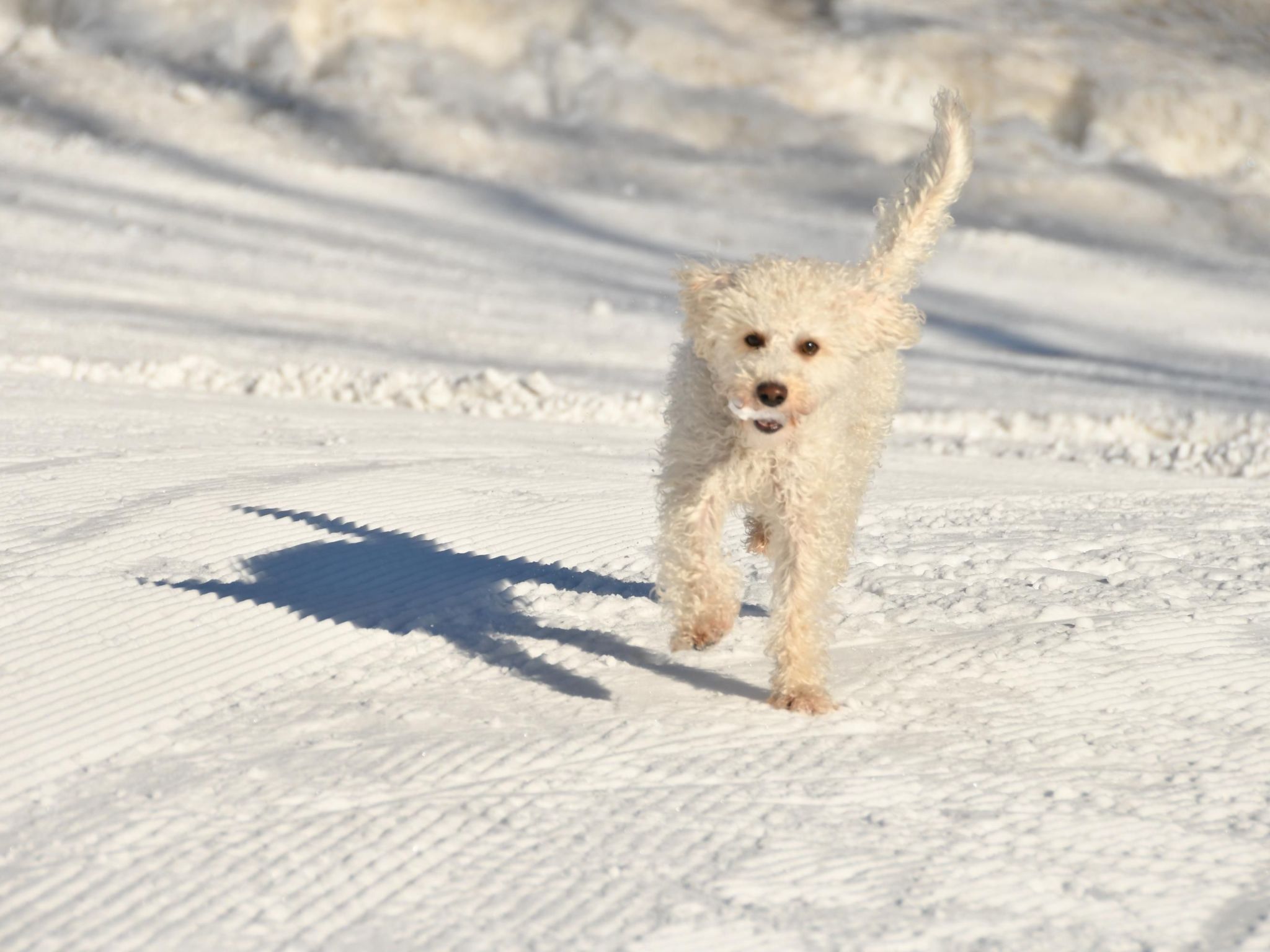 Mit Spielplatz, Garten und Fernsicht-Drinnen