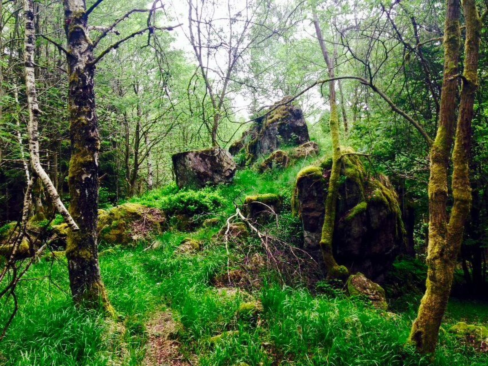 In Braunlage-Image-tags.info