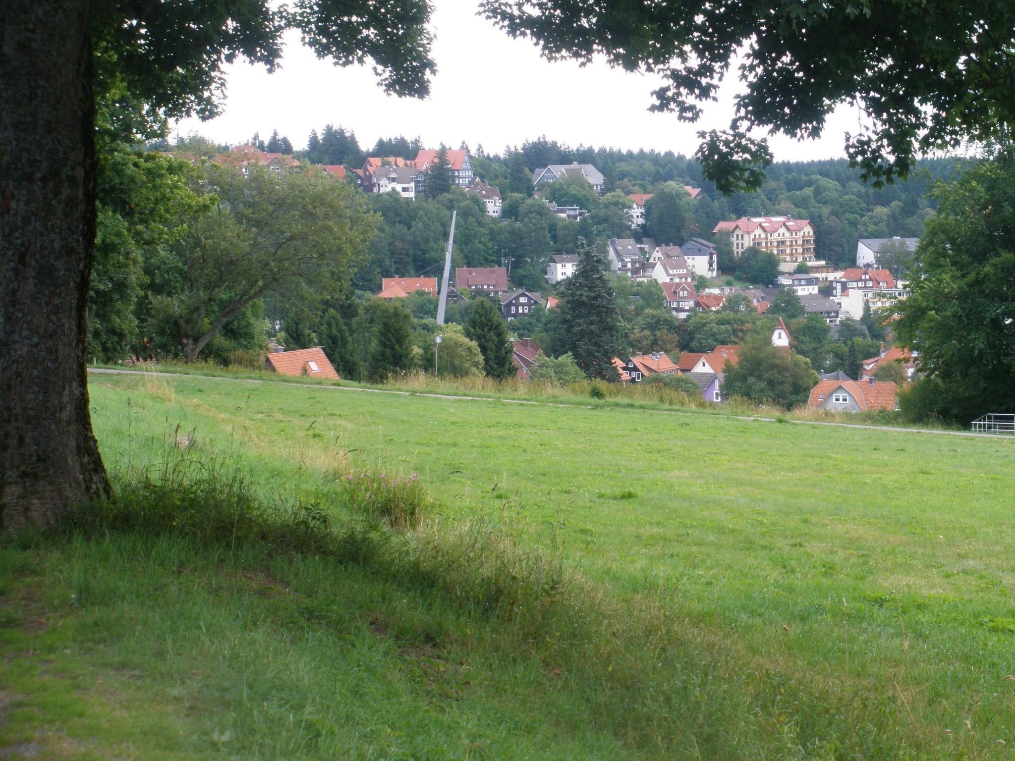 In Braunlage-Image-tags.info