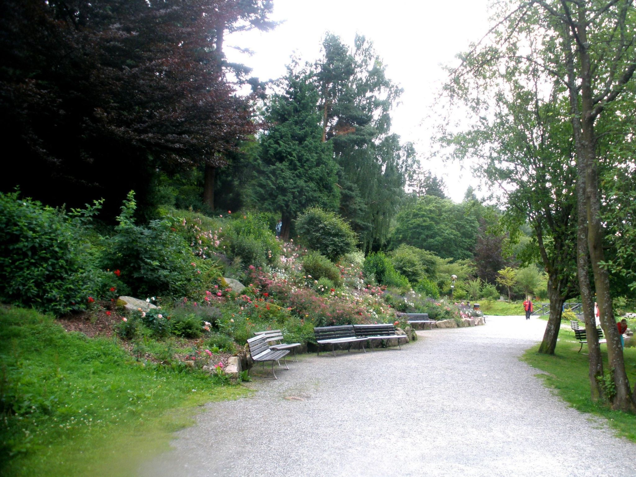 In Braunlage-Image-tags.info