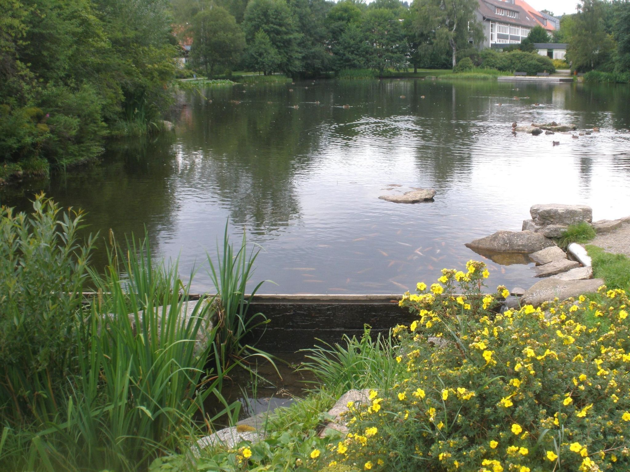 Für zwei bis vier Personen, WLAN-Image-tags.info