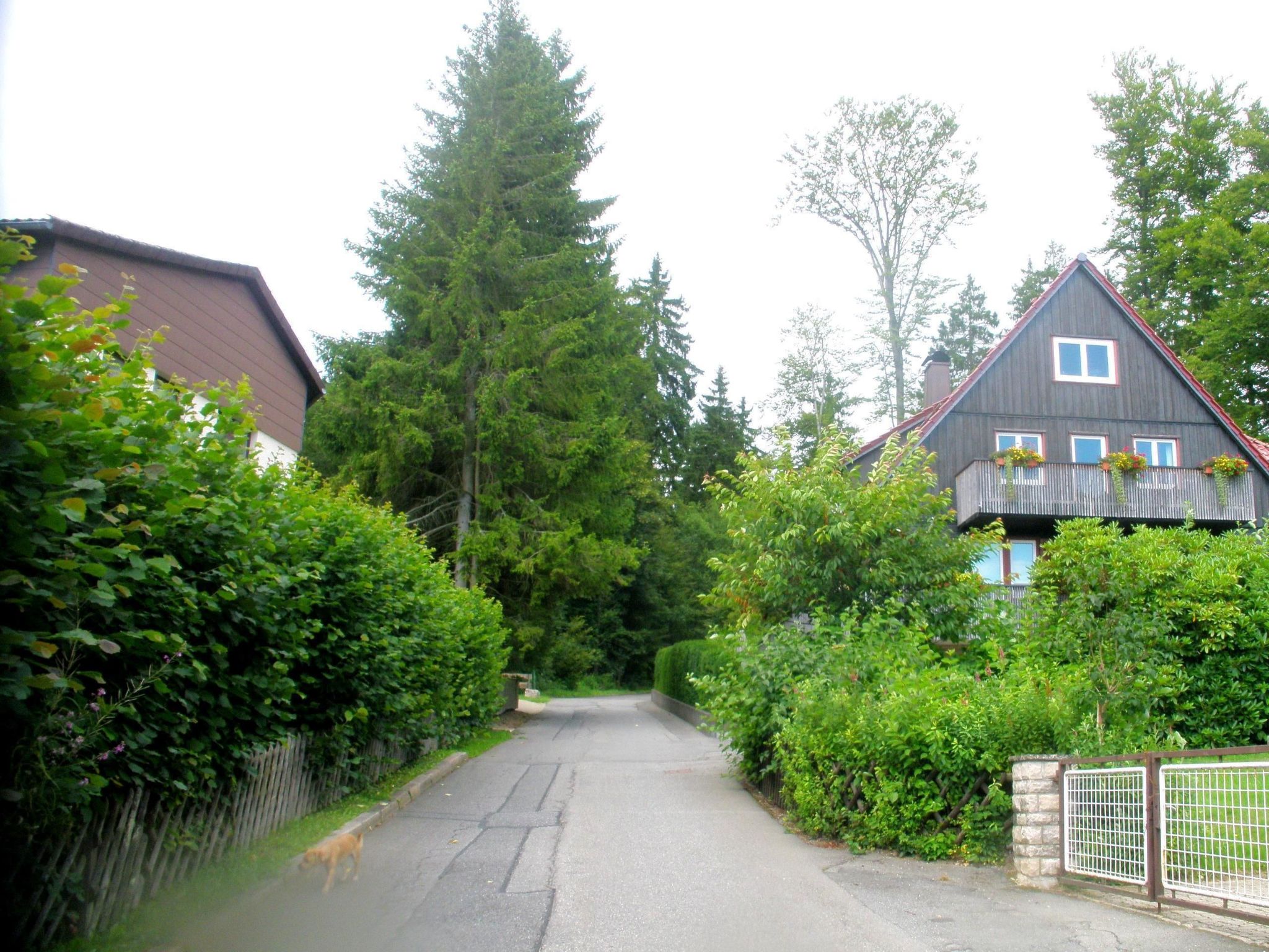 Für zwei Personen, WLAN vorhanden-Image-tags.info