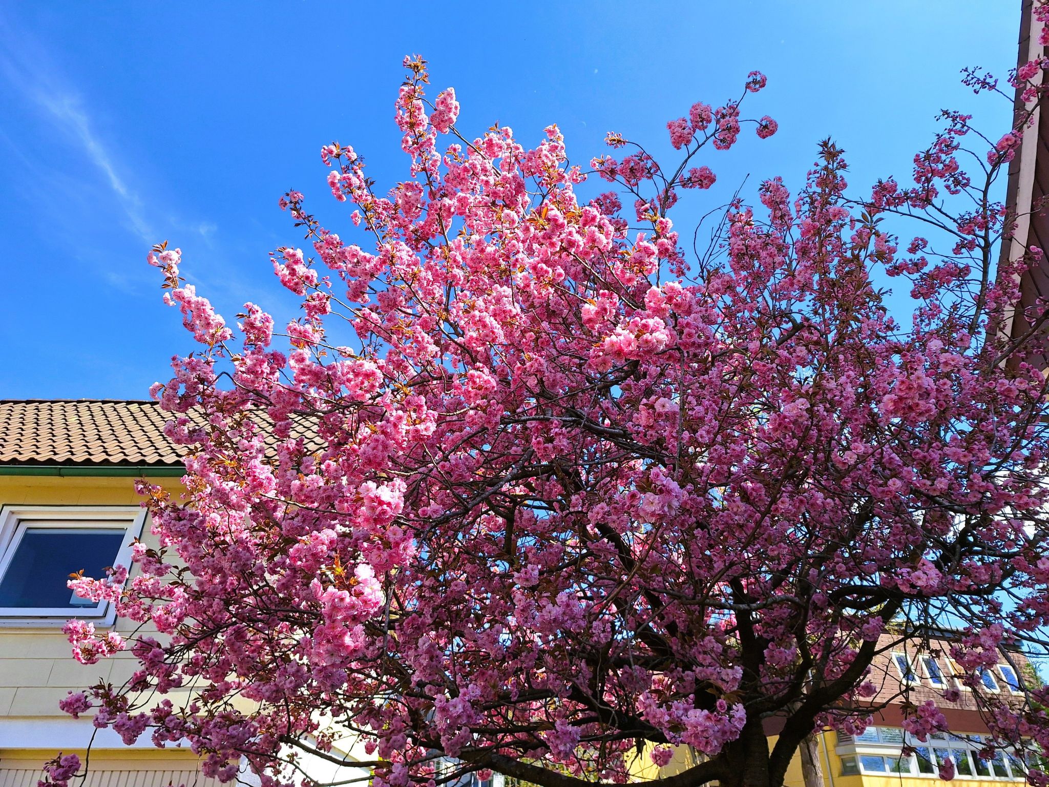 Chalet an der Bode-Drinnen