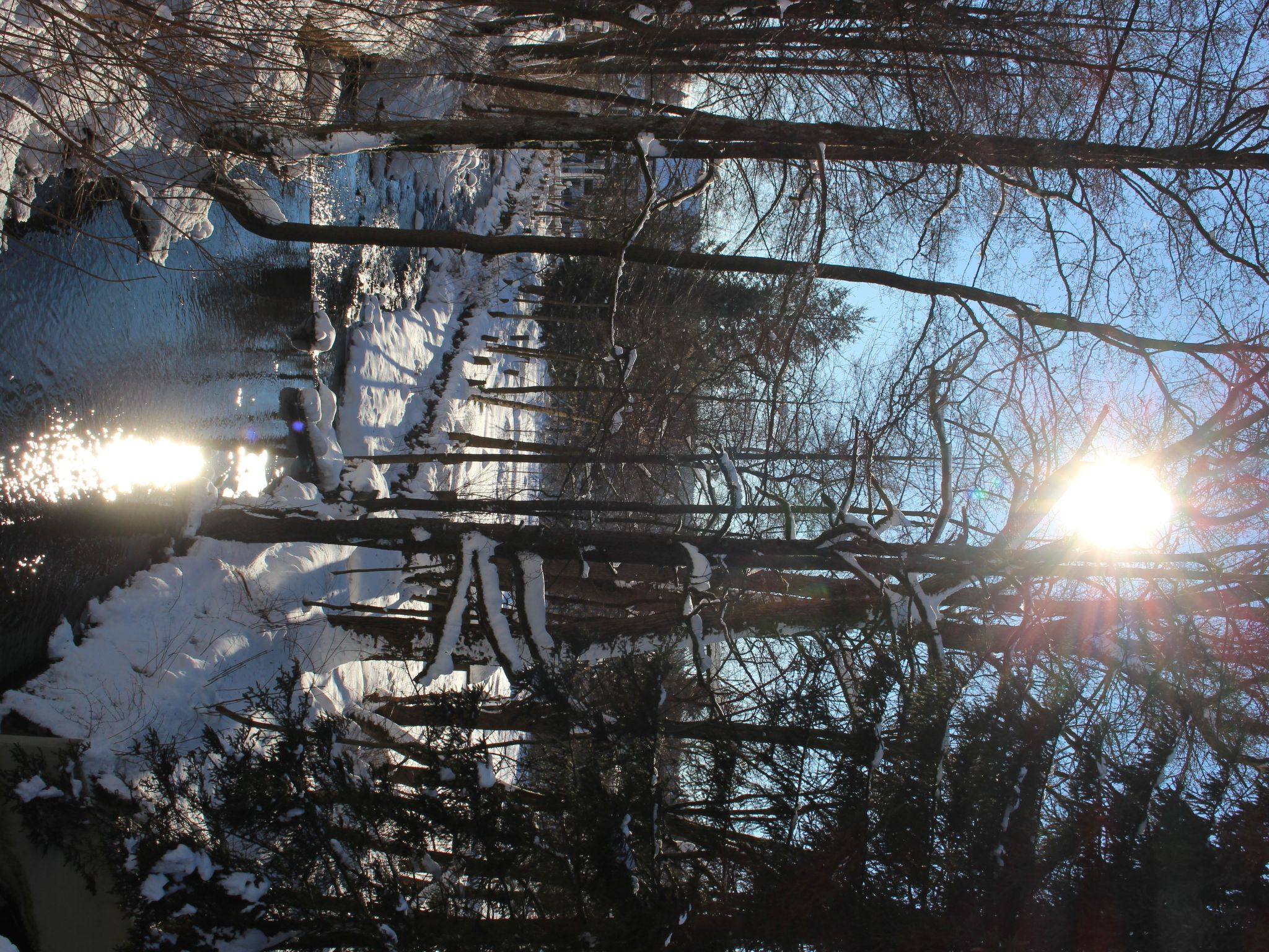 Chalet an der Bode-Drinnen
