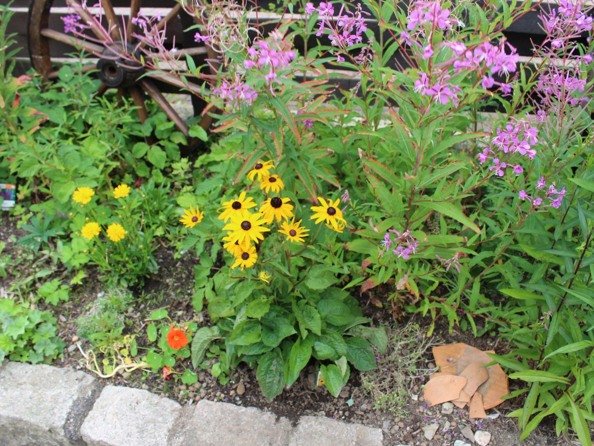 Chalet an der Bode-Drinnen