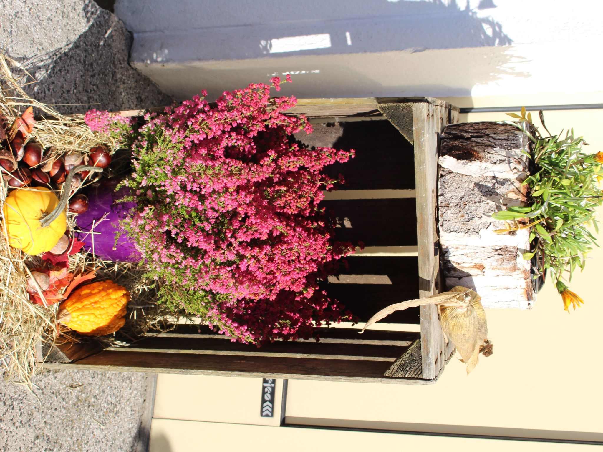 Chalet an der Bode-Drinnen