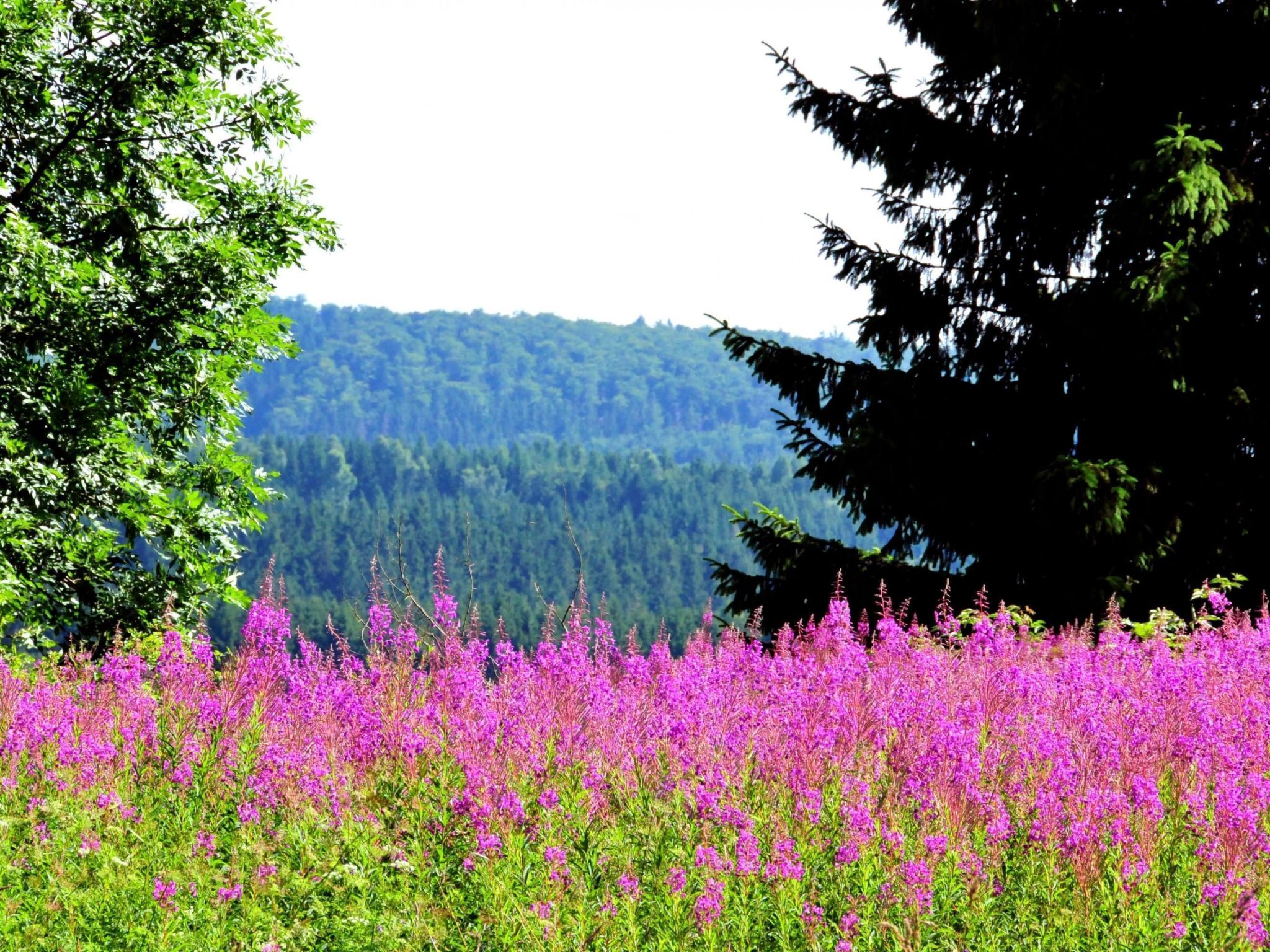 Mit herrlicher Aussicht in die Berge-Drinnen