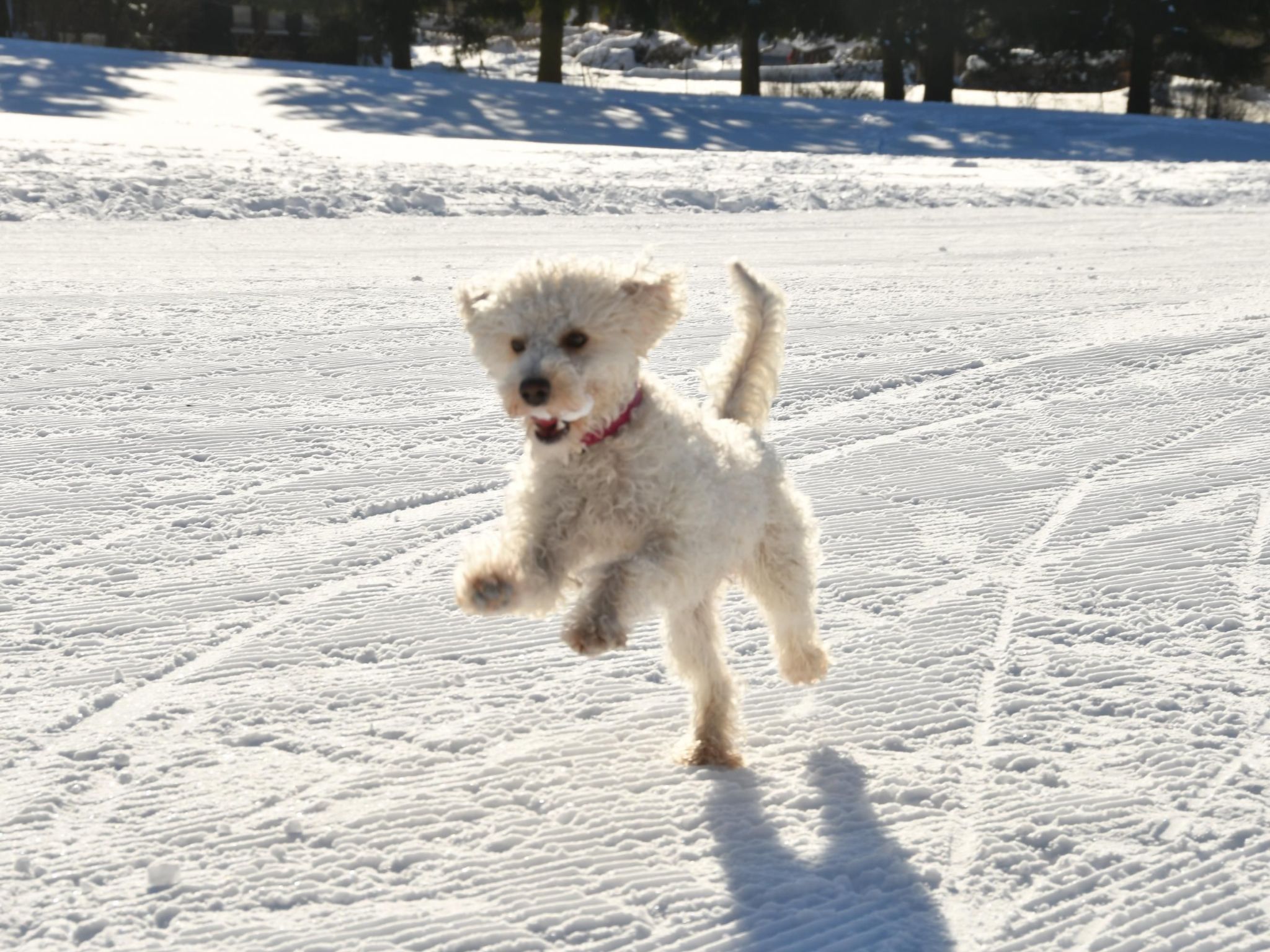 Mit herrlicher Aussicht in die Berge-Drinnen