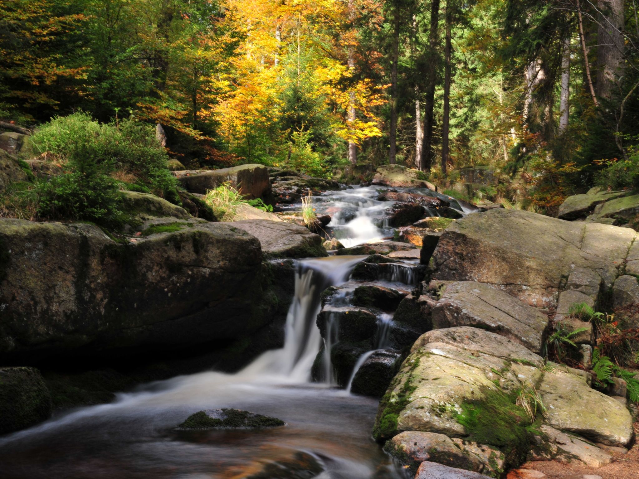 Blockhaus Bodefall-Drinnen