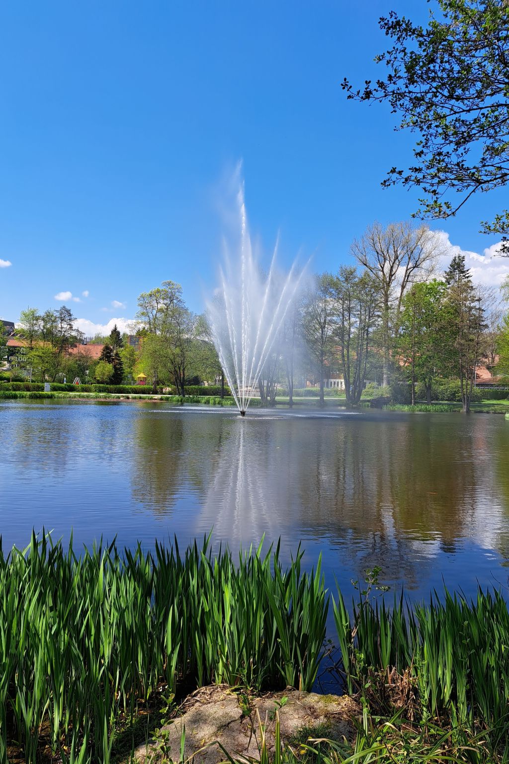 Blockhaus Bodefall-Drinnen