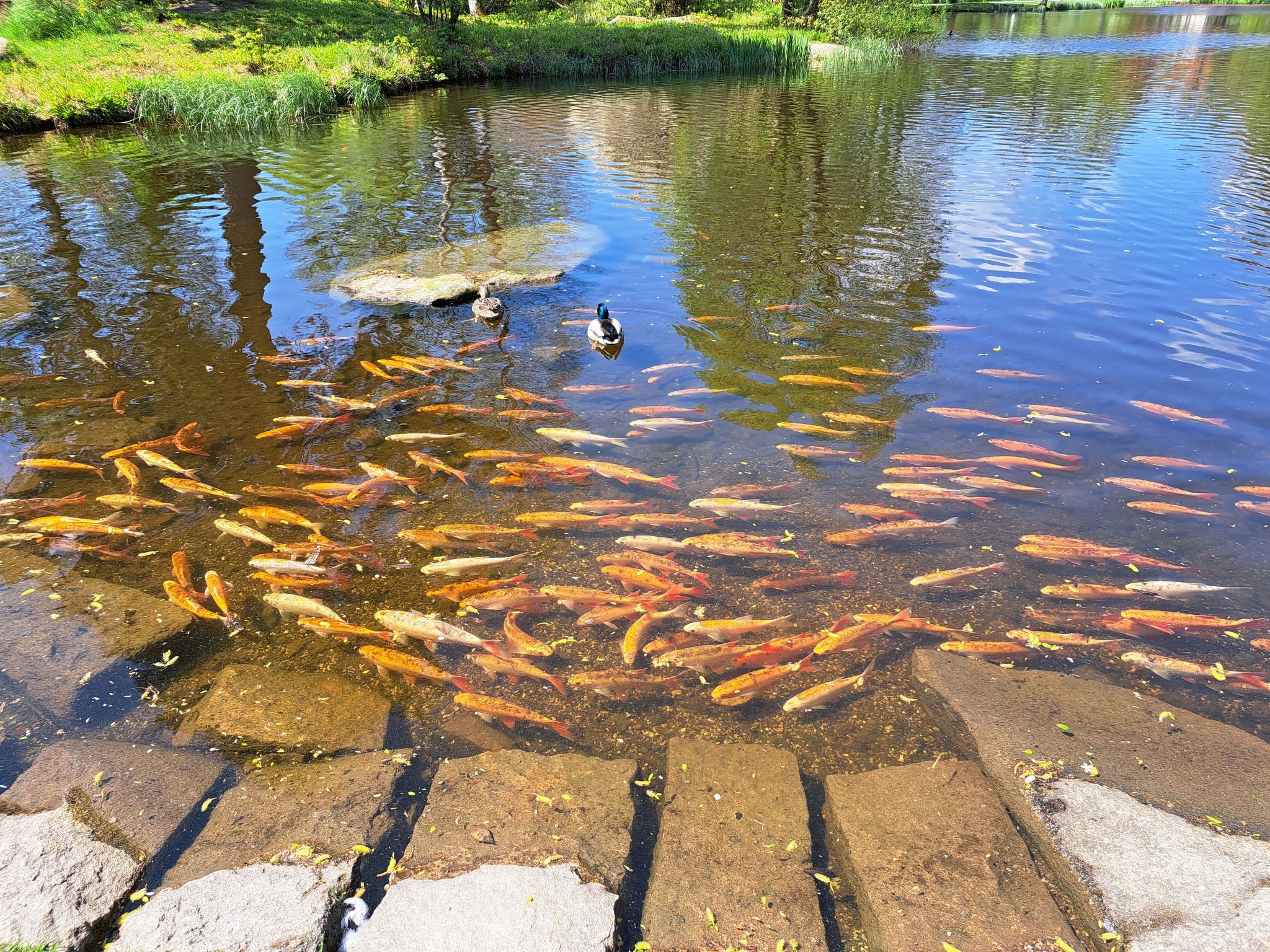 Blockhaus Bodefall-Drinnen