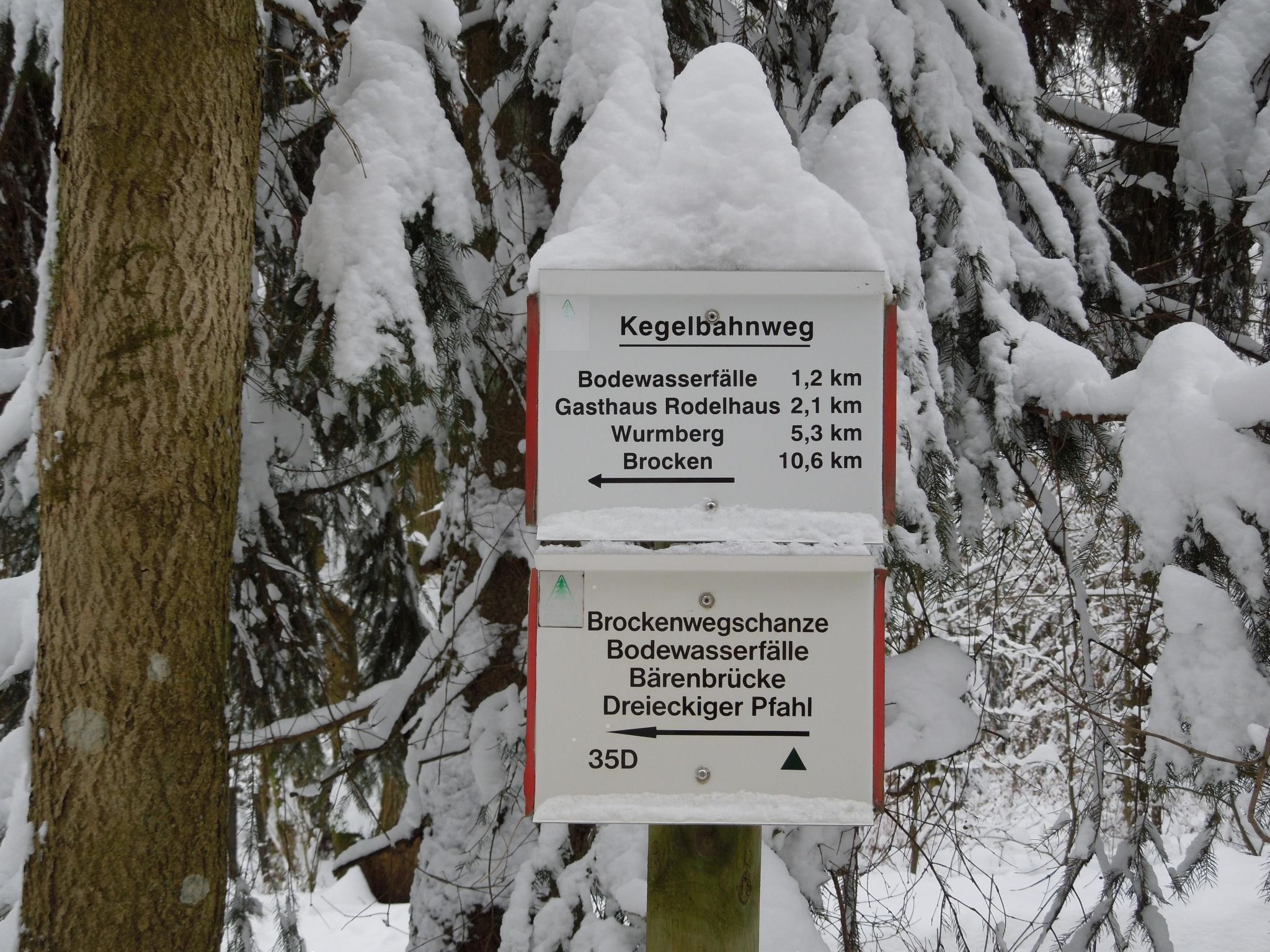 Blockhaus Bodefall-Drinnen