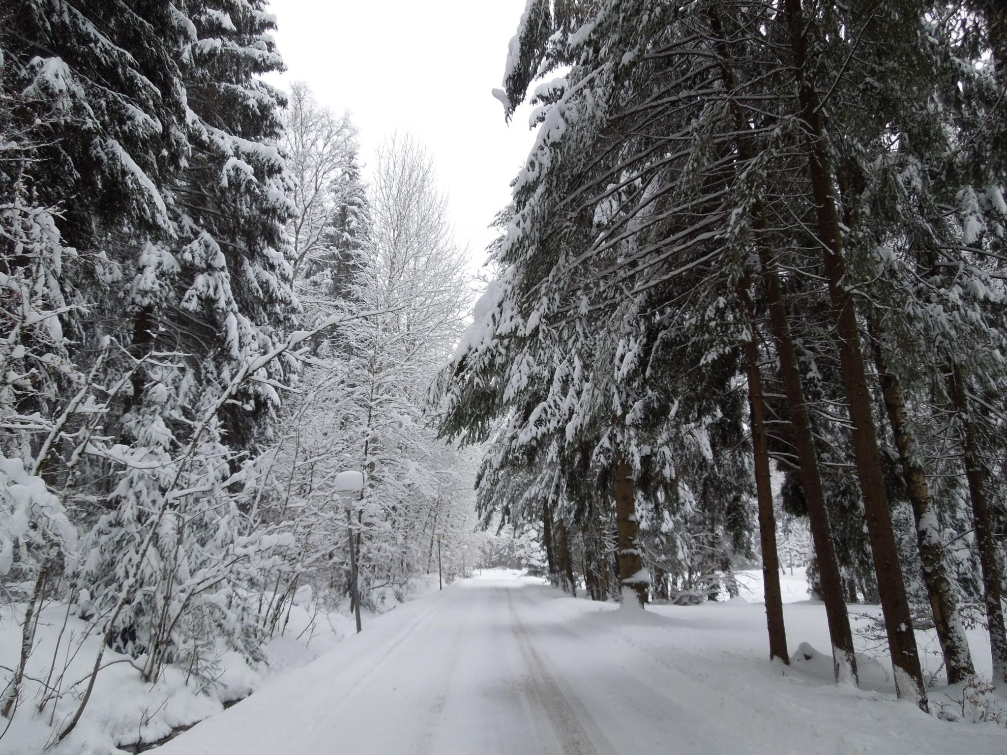 Blockhaus Bodefall-Drinnen