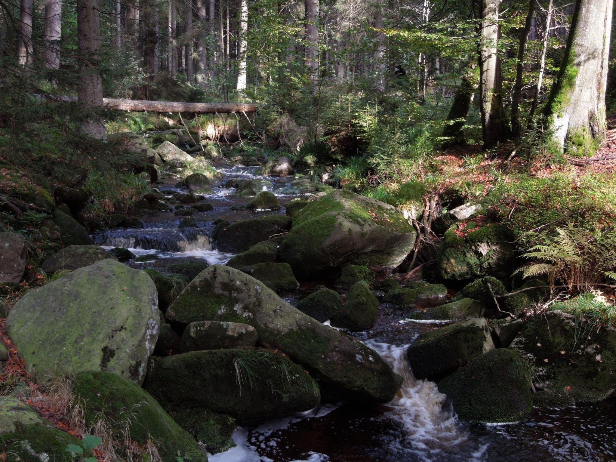 Blockhaus Bodefall-Drinnen