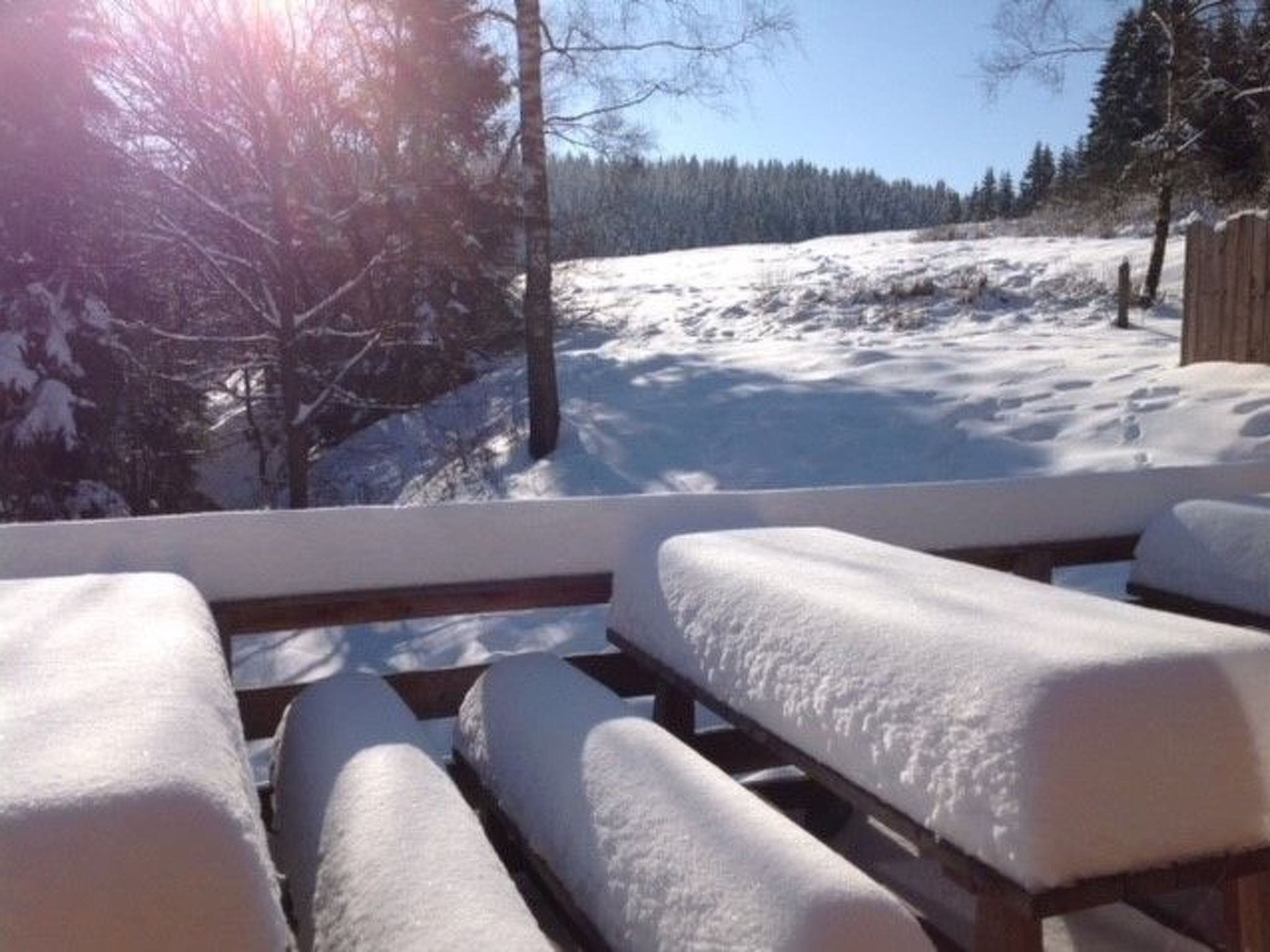 Urgemütliche Gruppenhütte mit Gartensauna-Drinnen