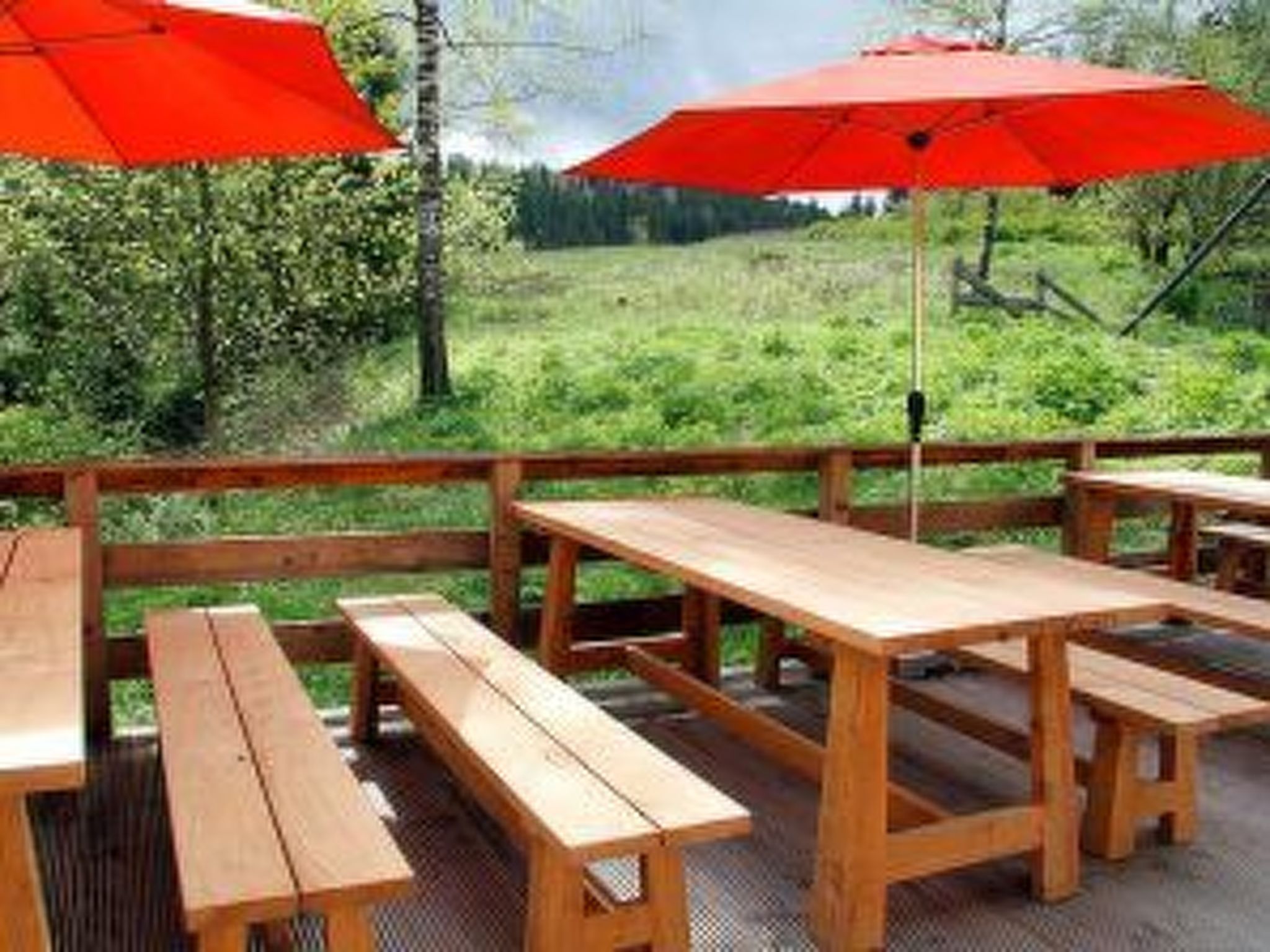 Urgemütliche Gruppenhütte mit Gartensauna-Drinnen