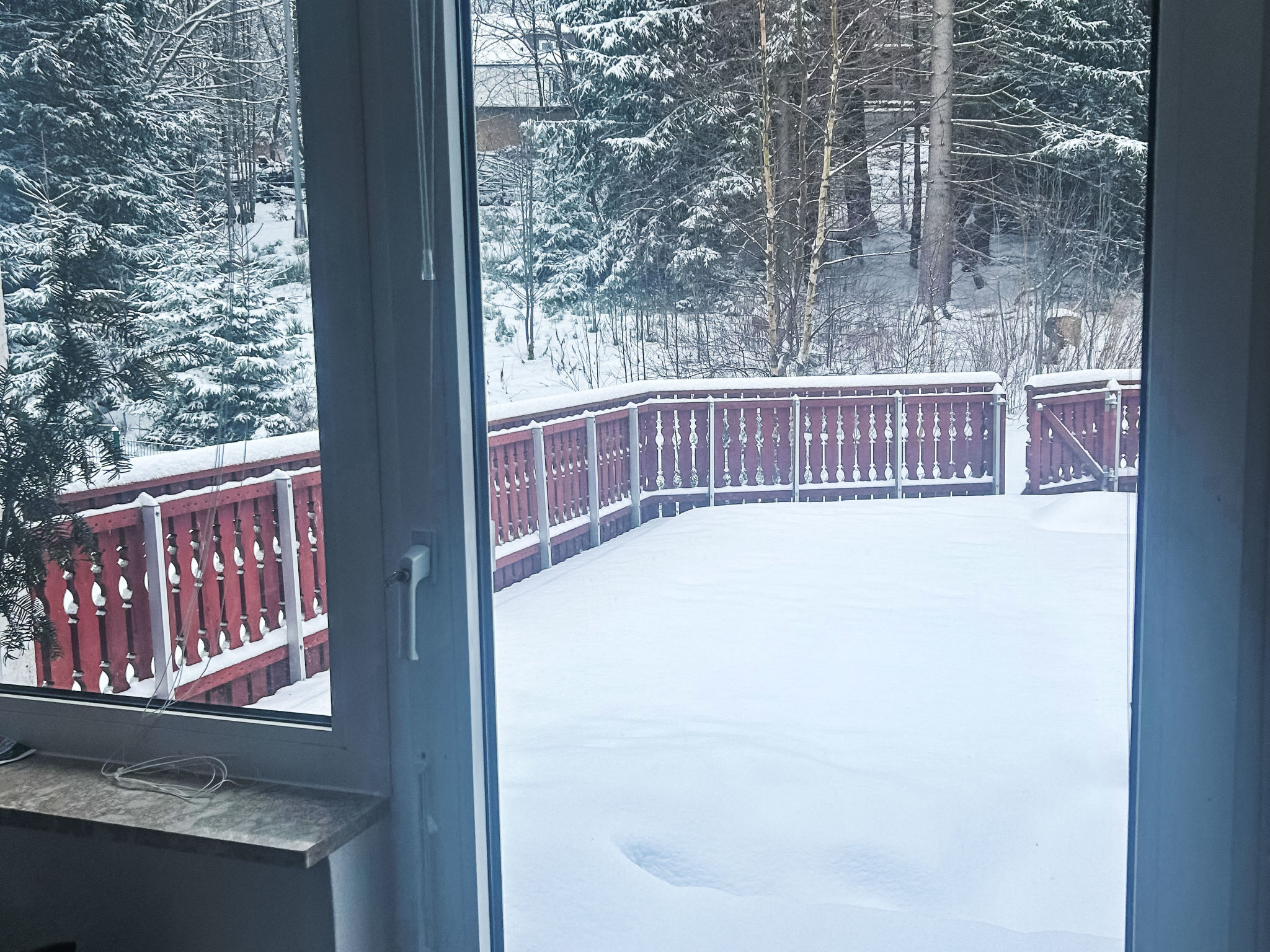 Maison Salamanderwaldhaus – Terrasse, photo 11 sur 16